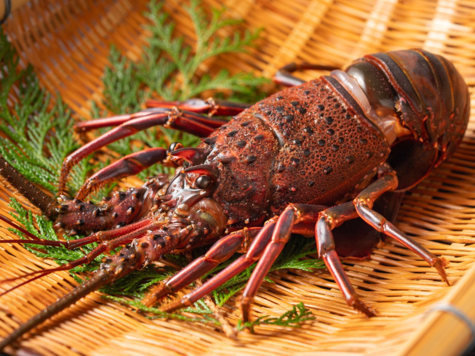 「三重県のご当地グルメ」ランキング
