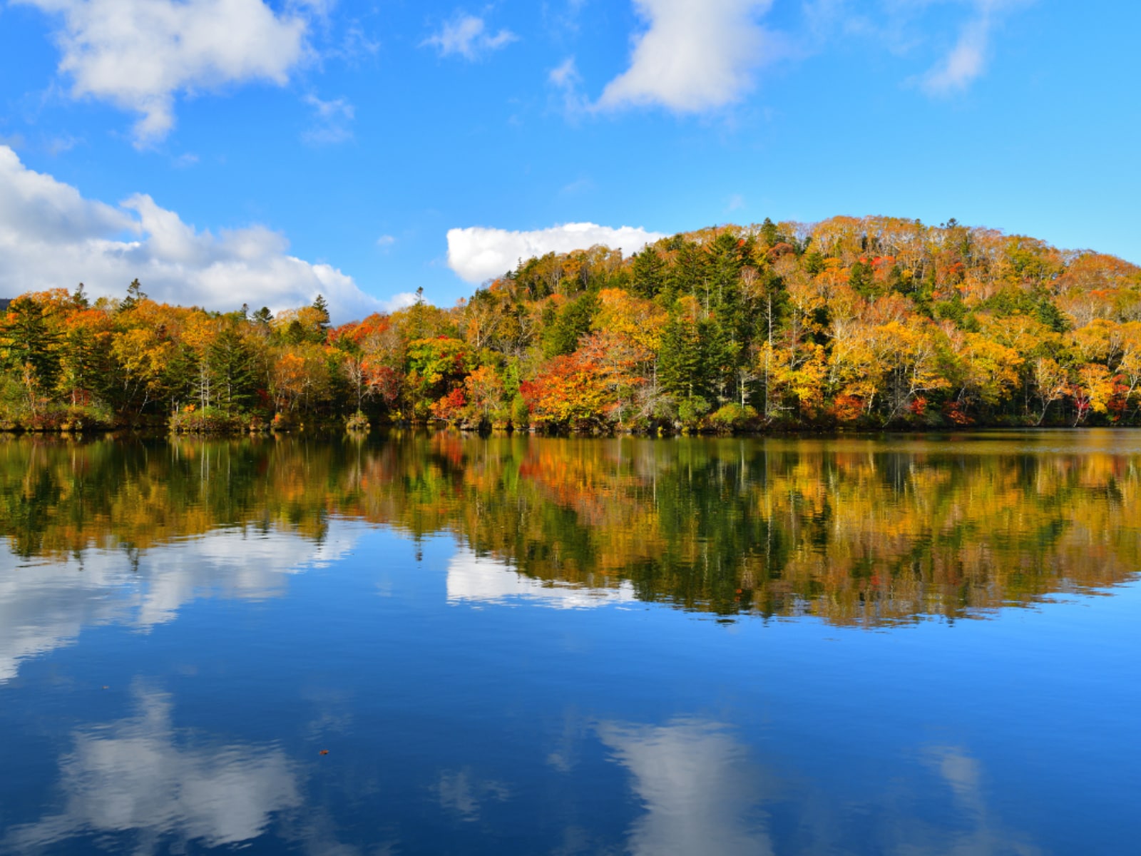北海道で「外国人観光客にすすめたい温泉地」ランキングの画像