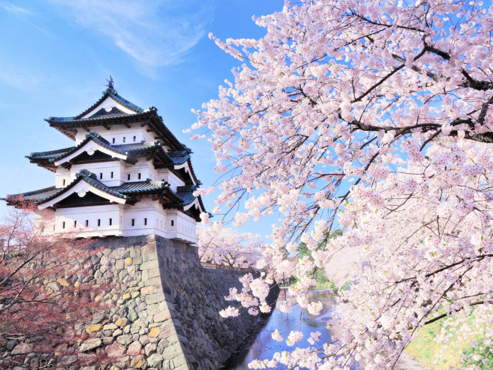 「絶景だと思う北海道・東北地方の城」ランキング