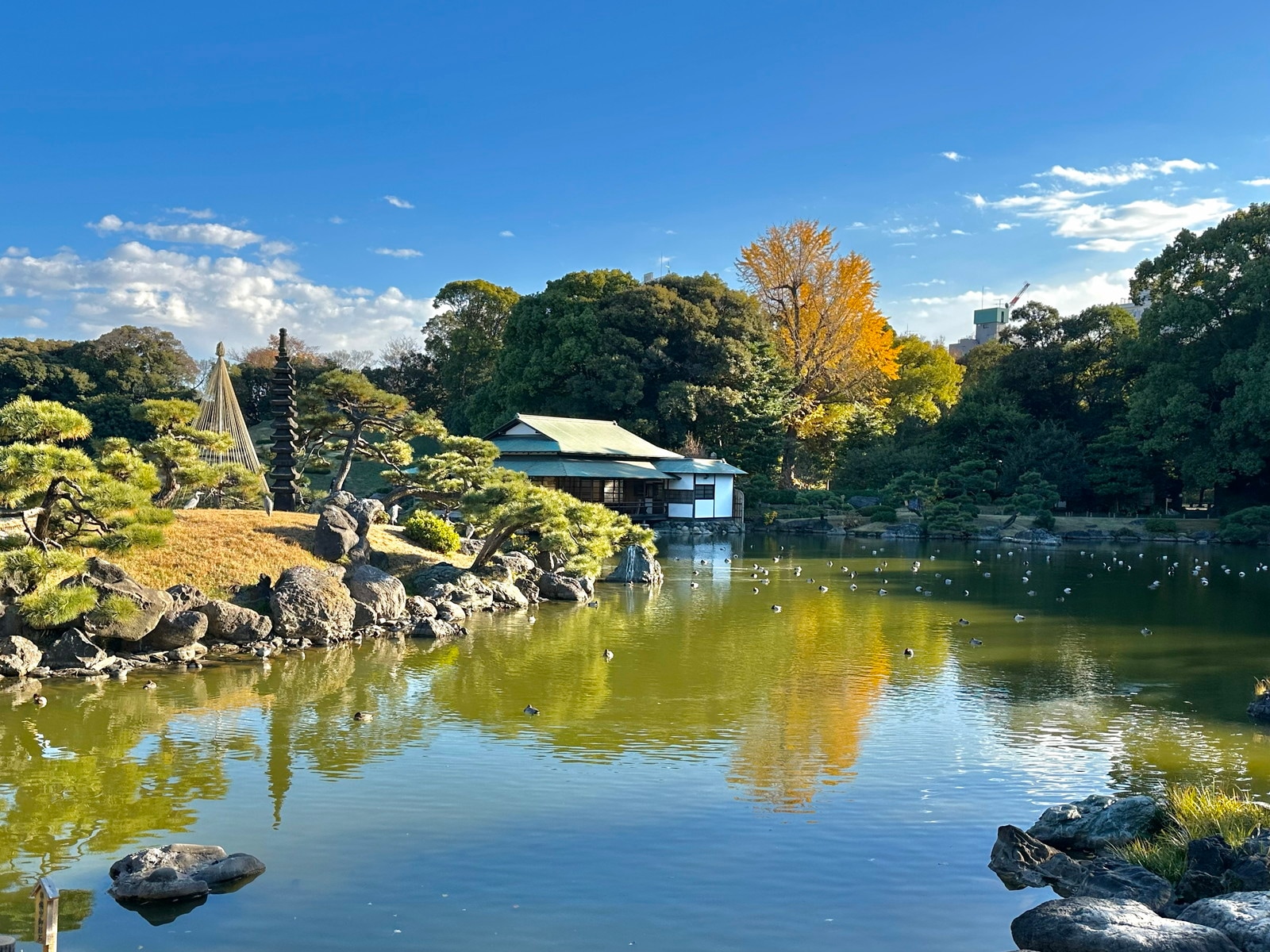 清澄白河の写真