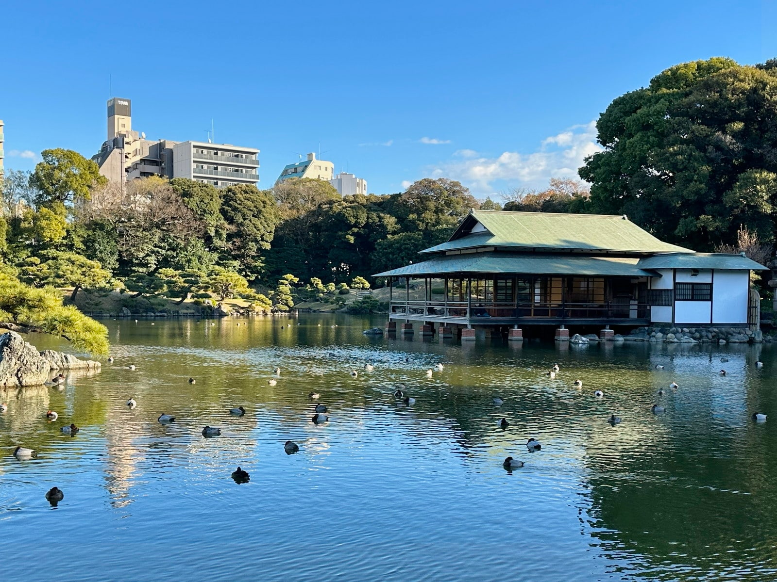 清澄白河の写真