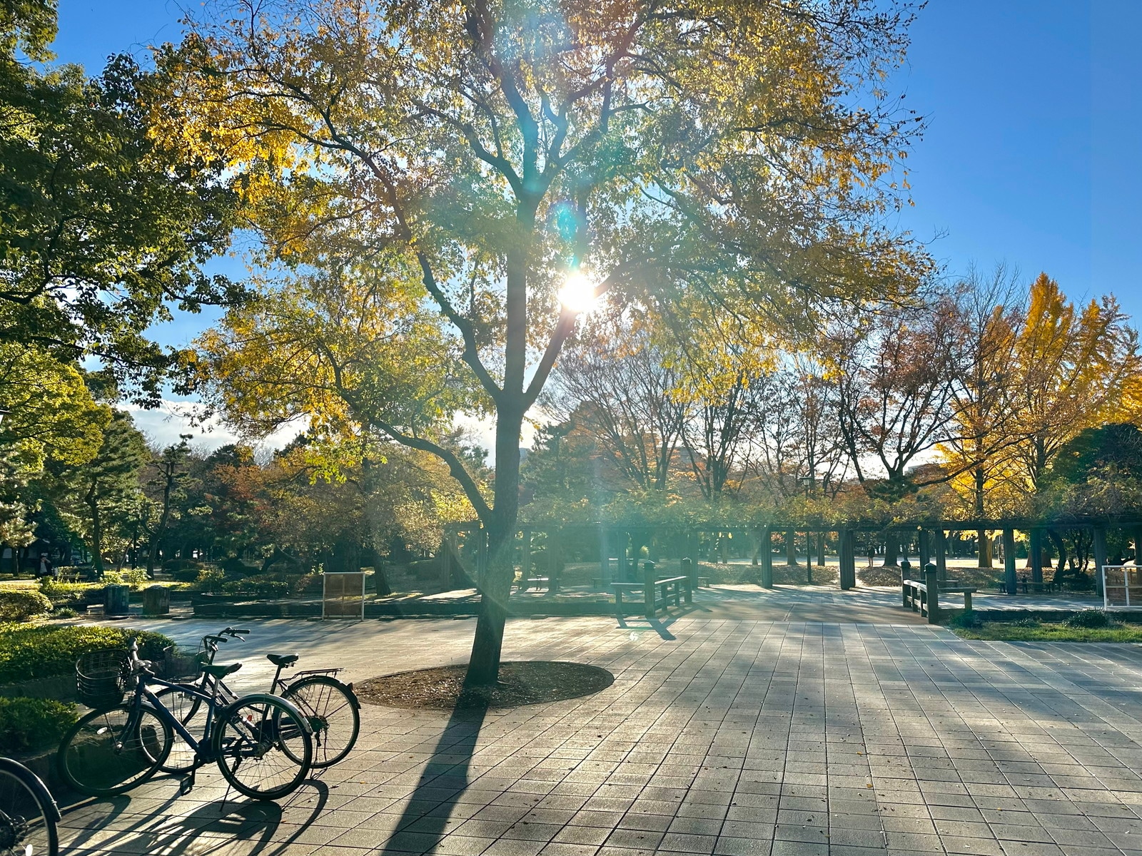 清澄白河の写真