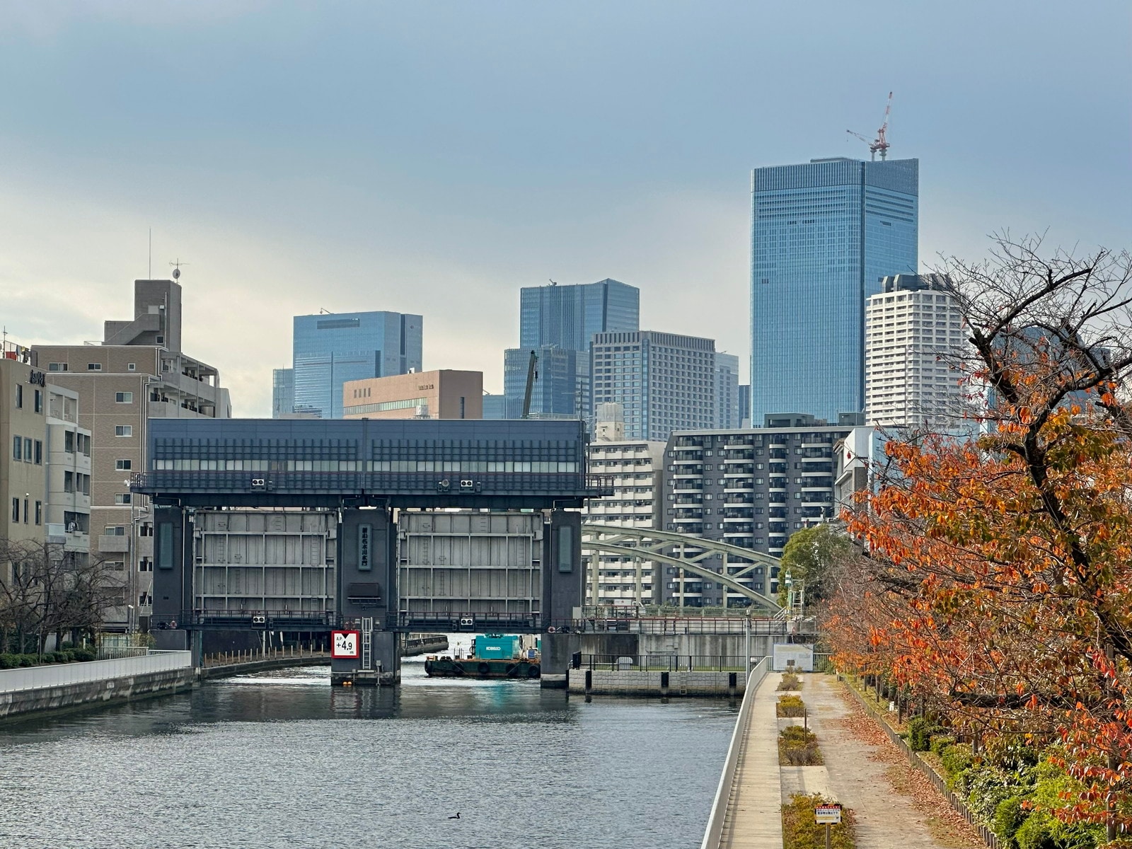 清澄白河の写真