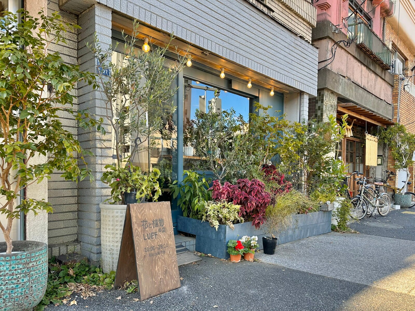 清澄白河の写真