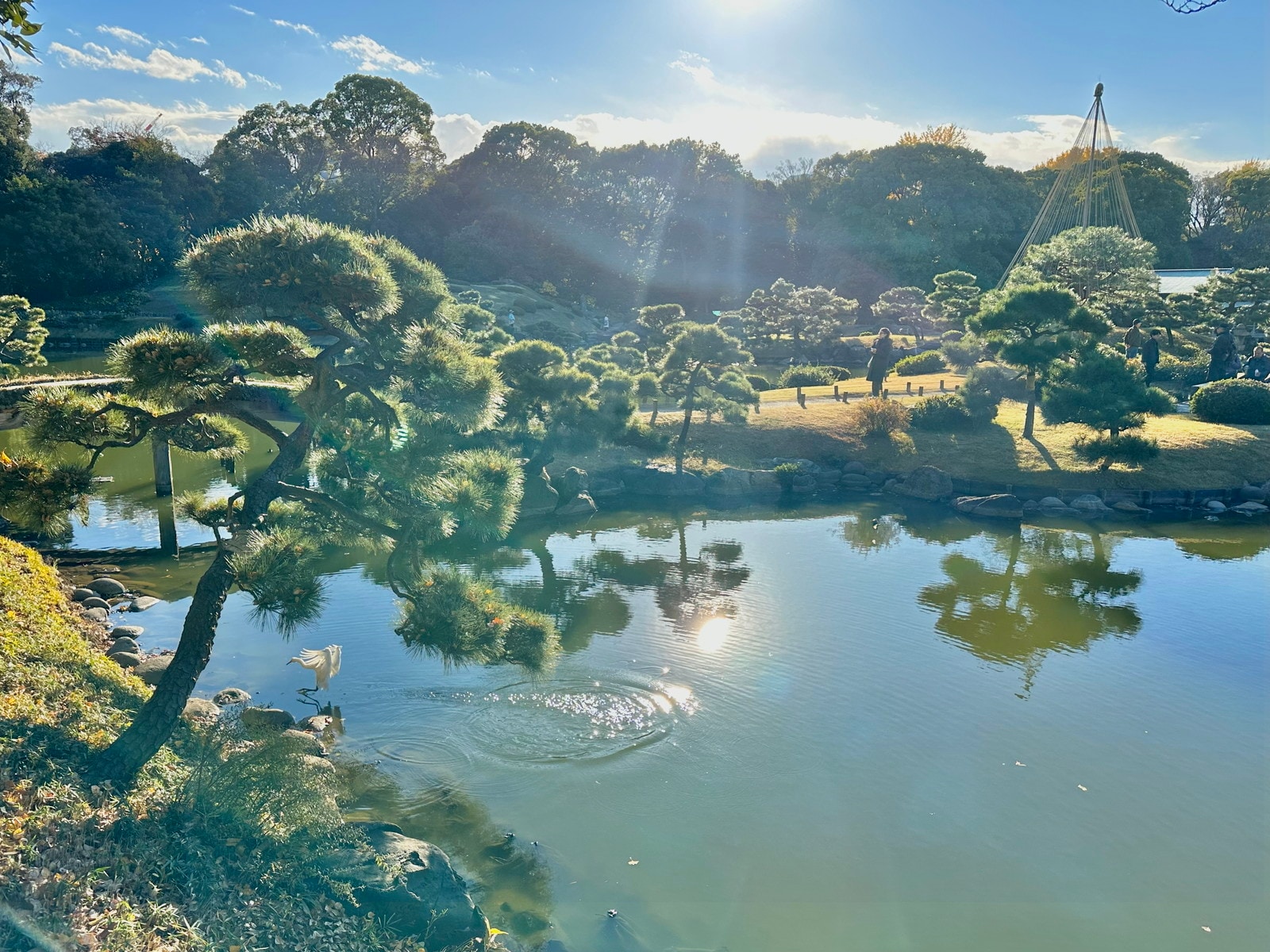 清澄白河の写真