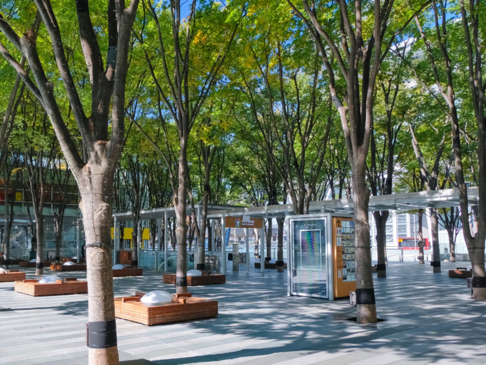 好き&行ってみたい「埼玉県のイルミネーション」ランキング