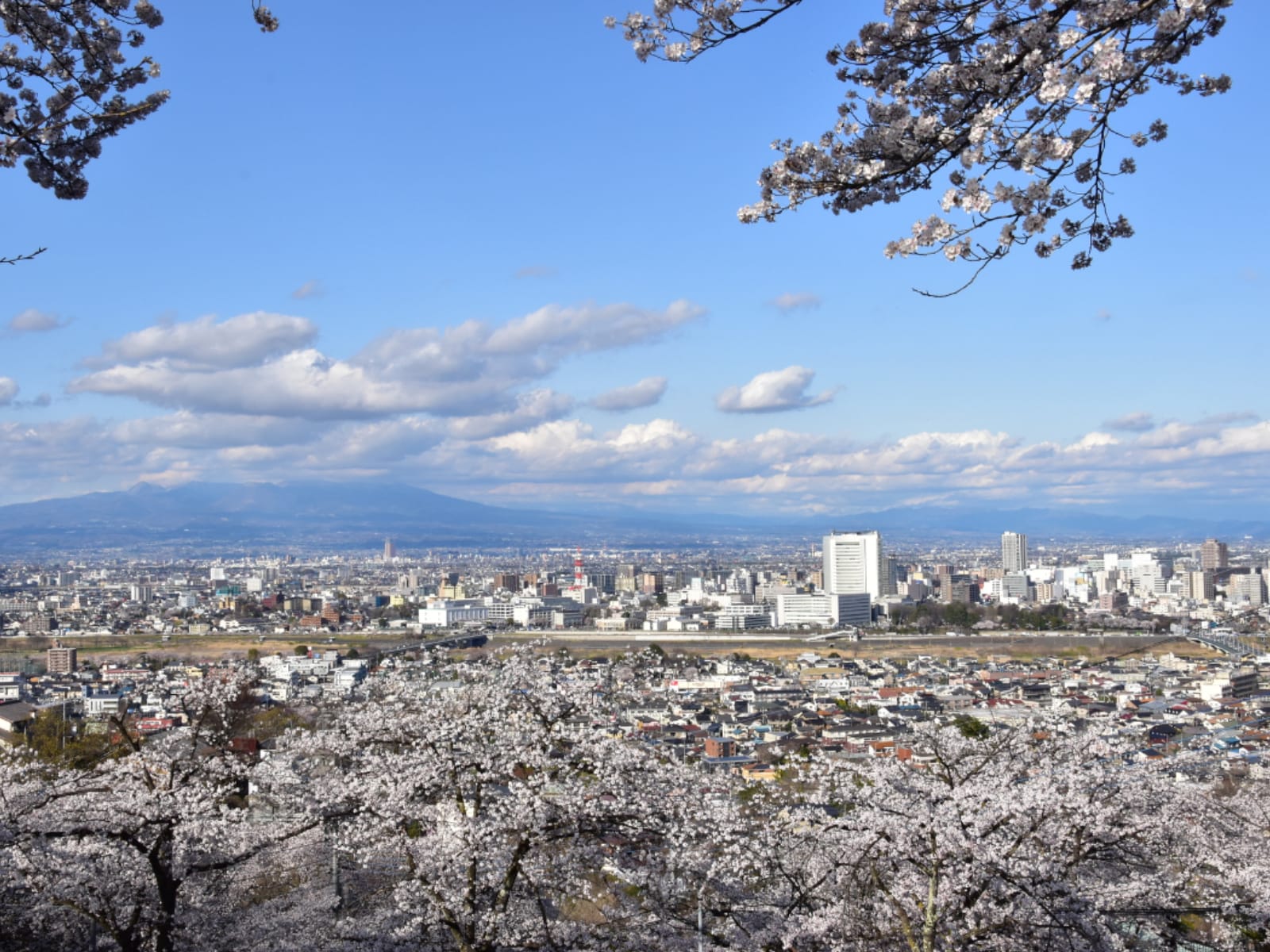 「群馬県の夜景スポット」ランキング