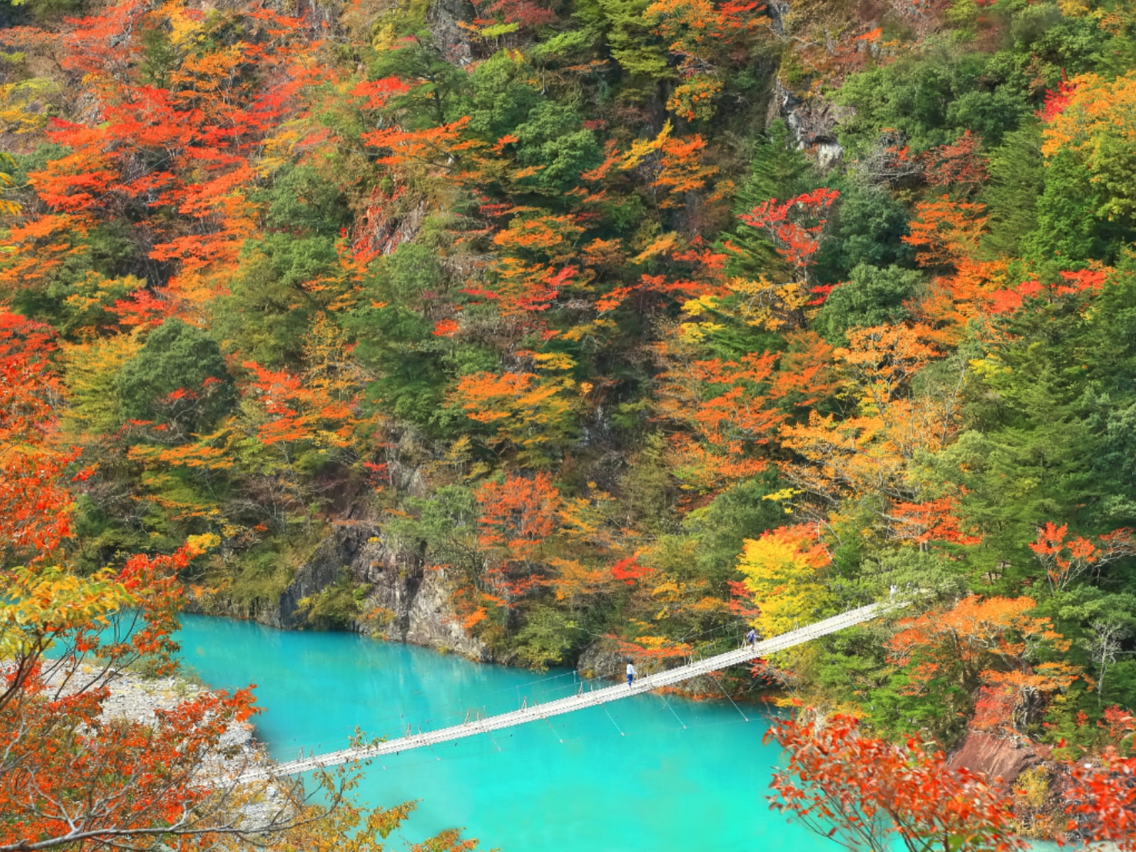 長期休みに行きたい「静岡県の穴場秘境」ランキング