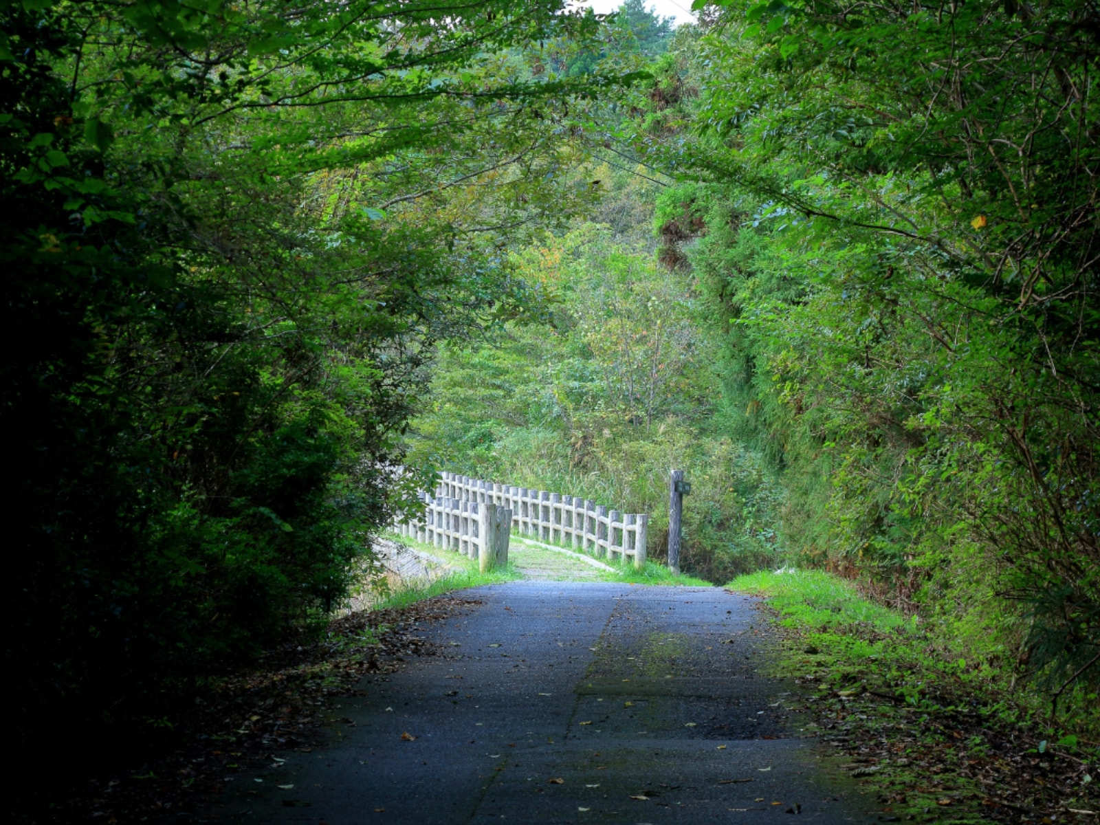 長期休暇に行きたい「広島県の穴場秘境」ランキング