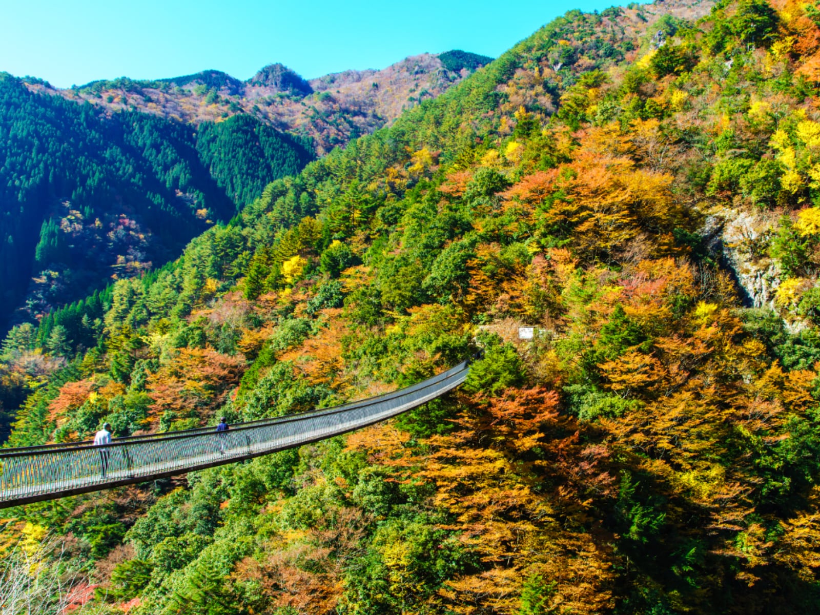 長期休みに行きたい「熊本県の穴場秘境」ランキング