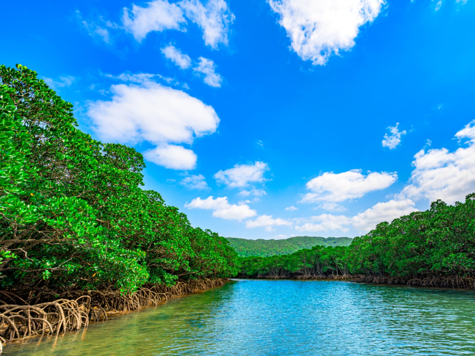 長期休みに行きたい「沖縄県の穴場秘境」ランキング