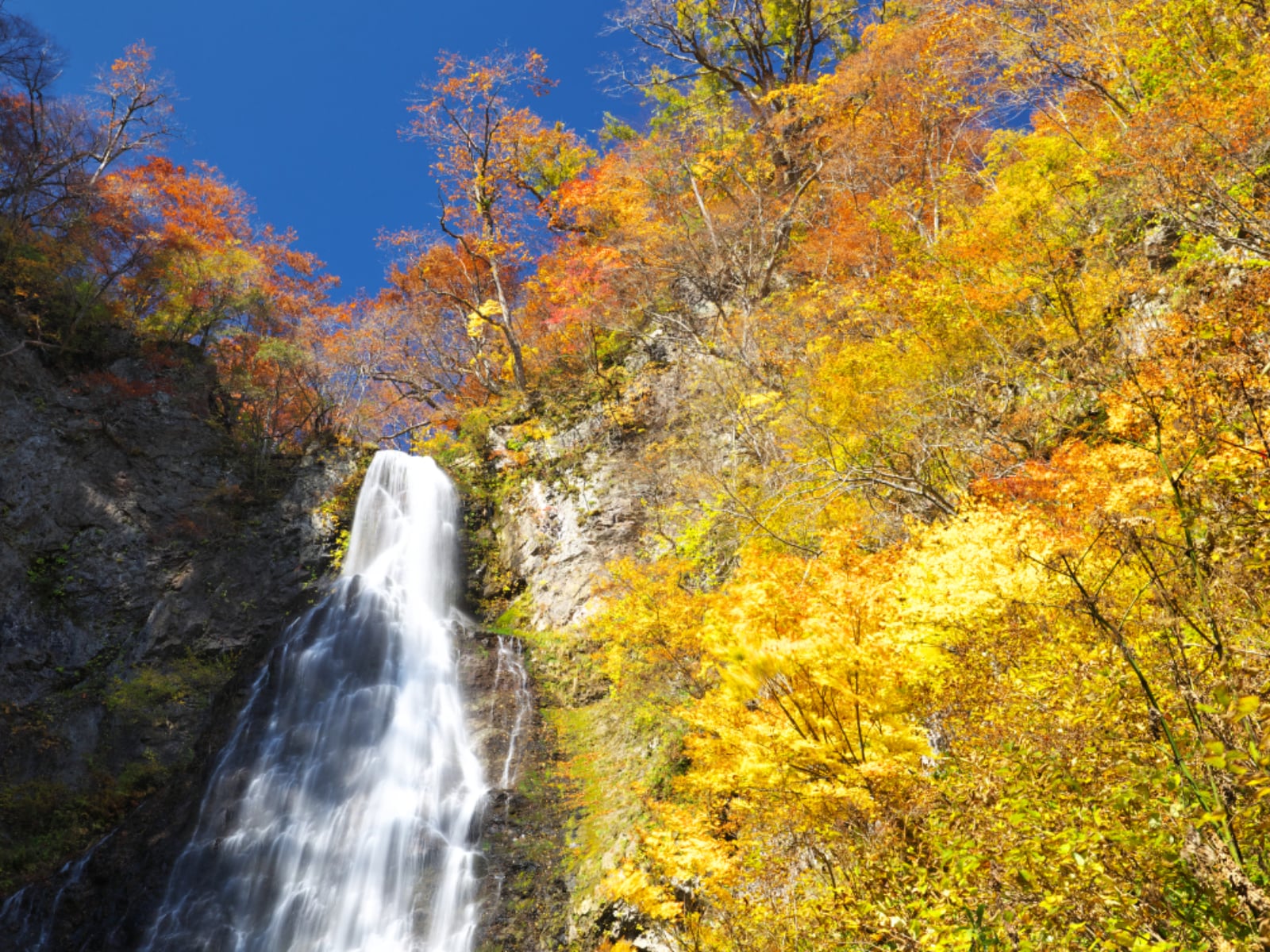 長期休みに行きたい「青森県の穴場秘境」ランキング