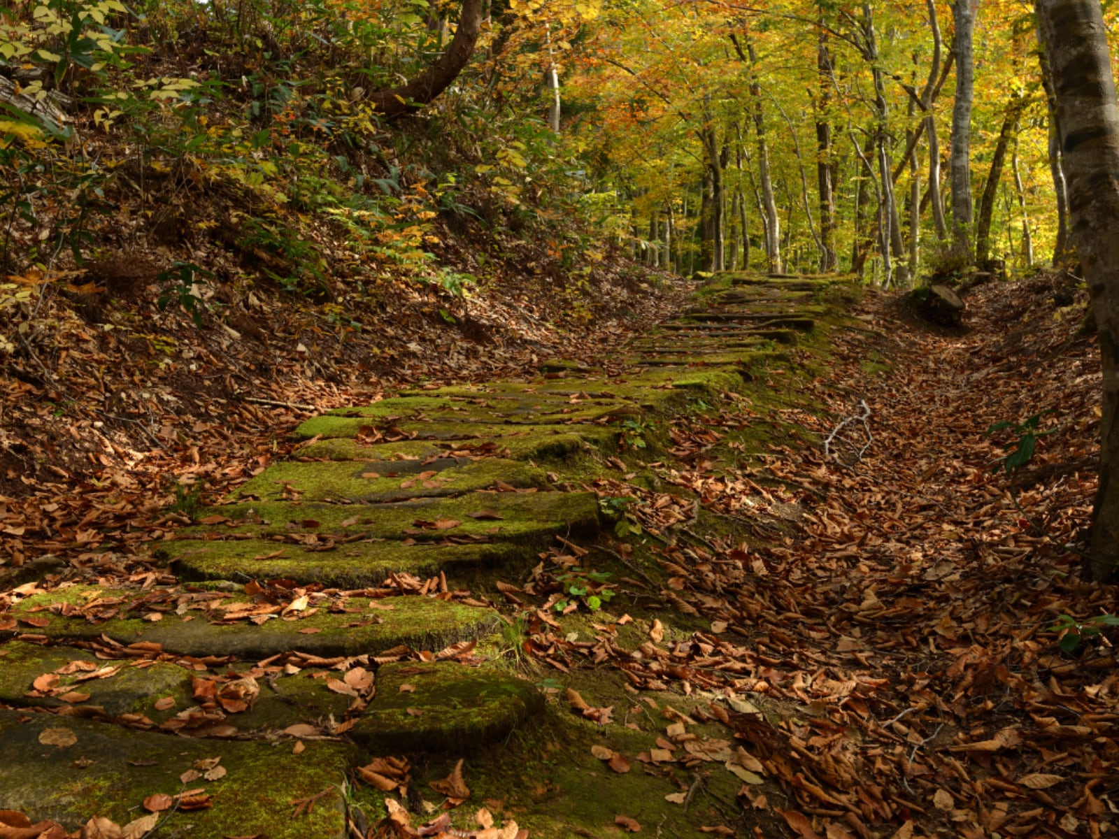 長期休みに行きたい「山形県の穴場秘境」ランキング