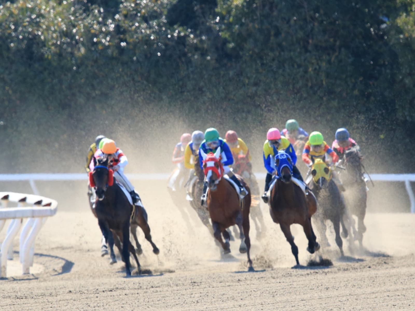 好き＆行ってみたい「競馬場（地方競馬）」ランキング