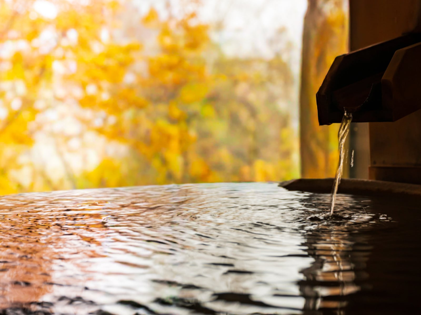 長期休みに行きたいと思う「福井県の温泉地」ランキング