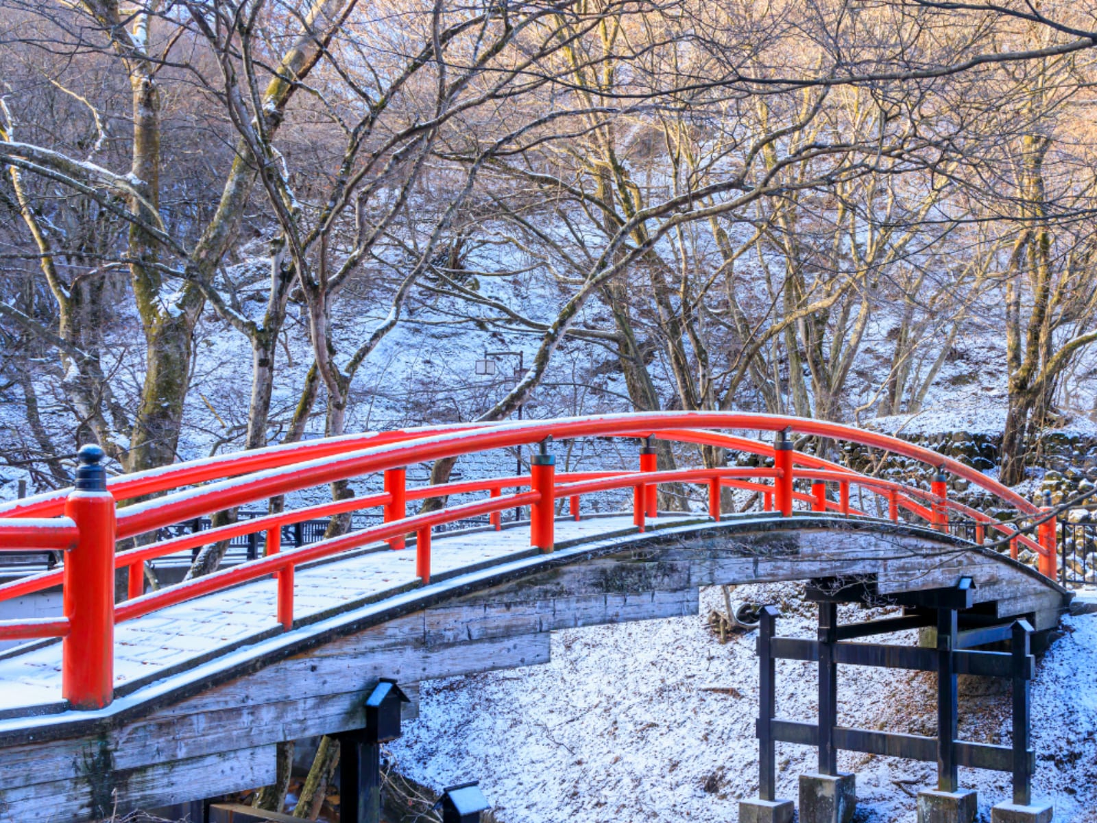 クリスマスに行きたいと思う「群馬県（草津・四万・伊香保・水上エリア）の温泉地」ランキング