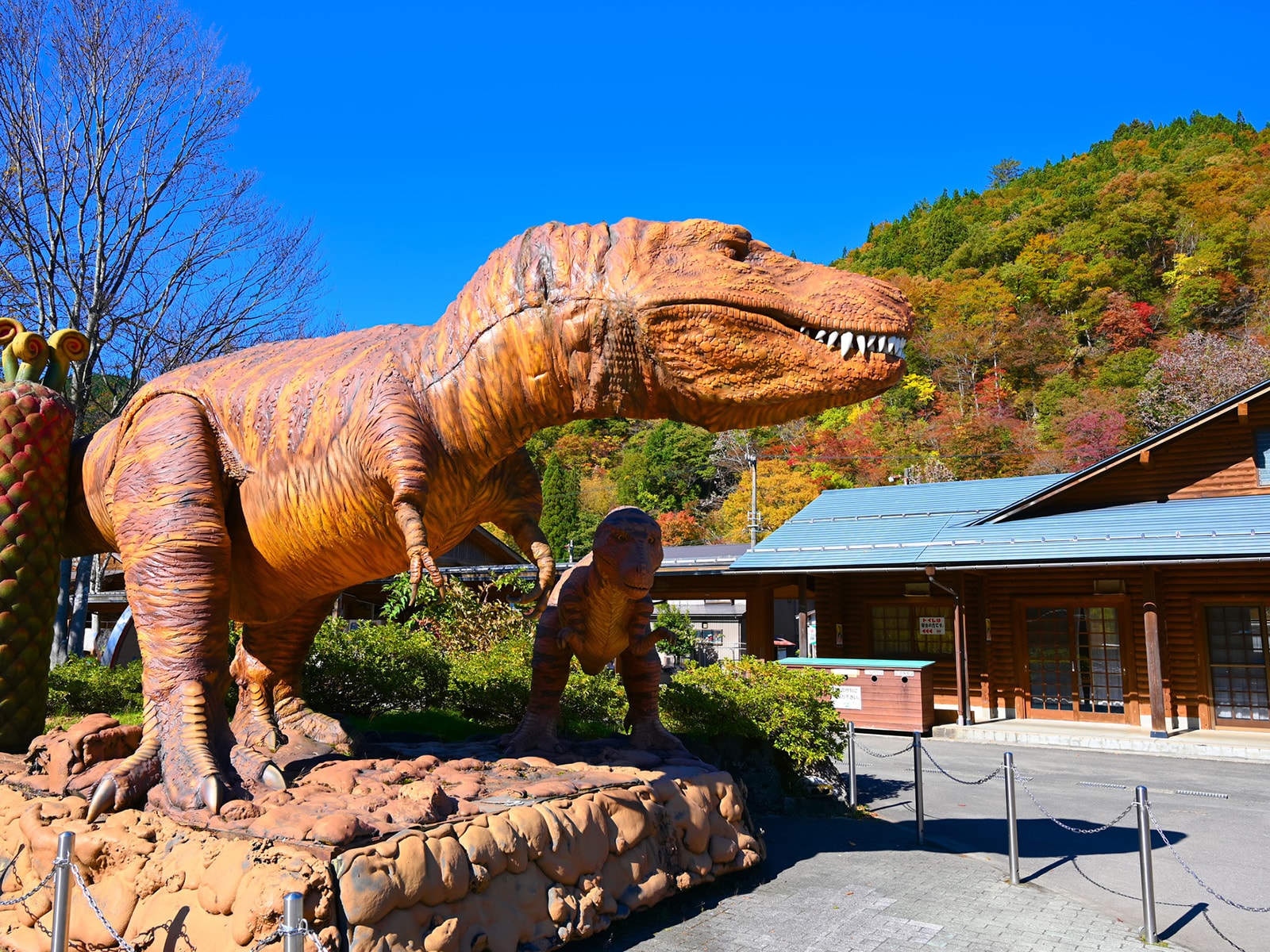 福井県民が選ぶ「住み続けたい街（自治体）」ランキング