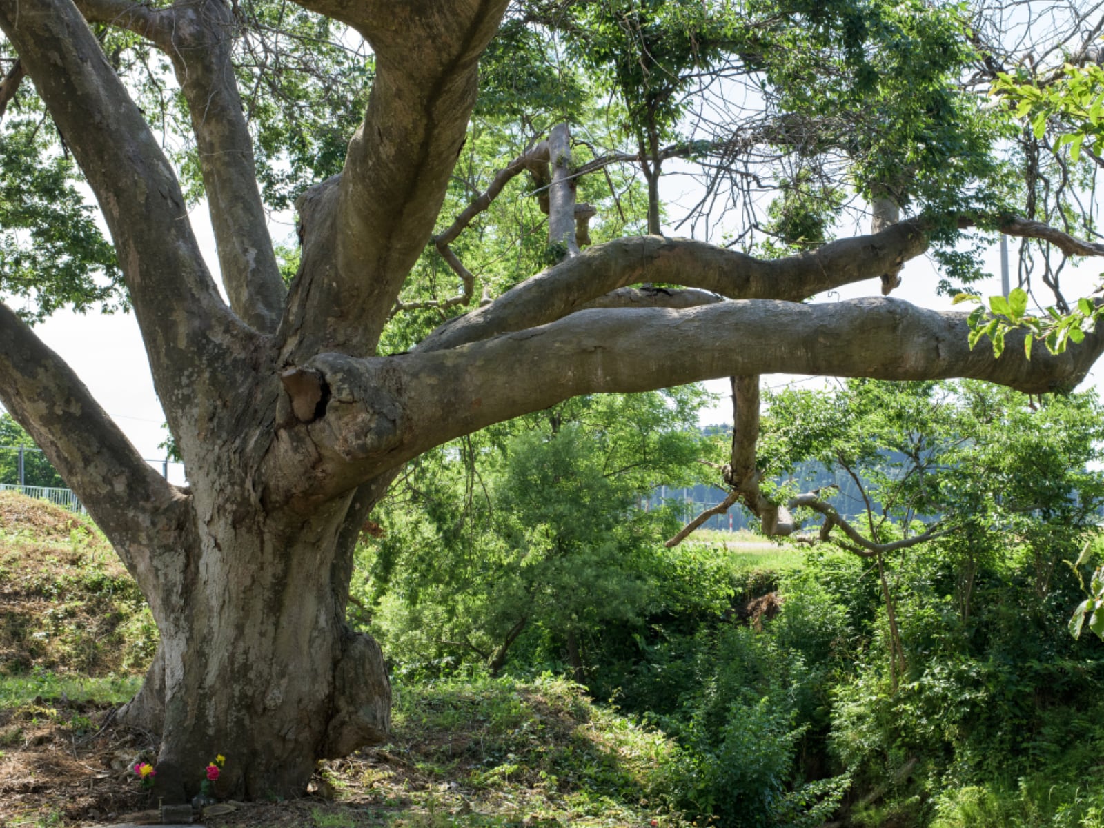 カップルで行きたいと思う「秋田県の道の駅」ランキング