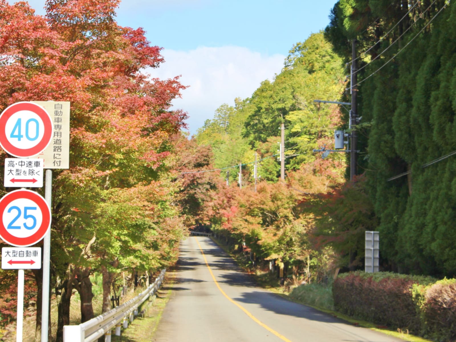 「京都府の絶景ドライブスポット」ランキング