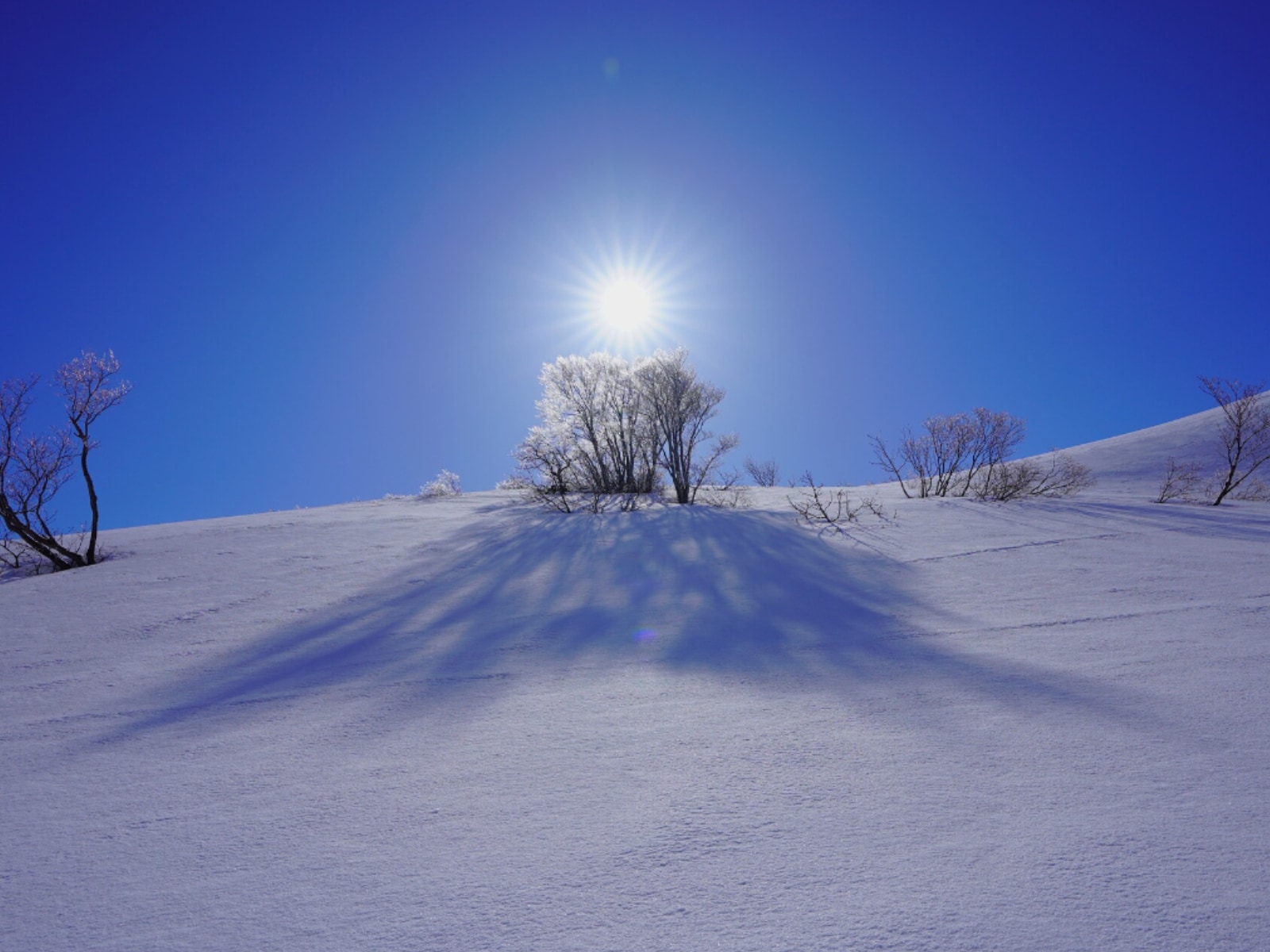 名前がかっこいいと思う「秋田県の自治体」ランキング