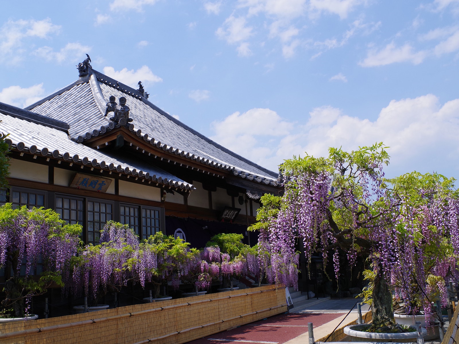 四国民が選んだ「住み続けたい街（自治体）」ランキング