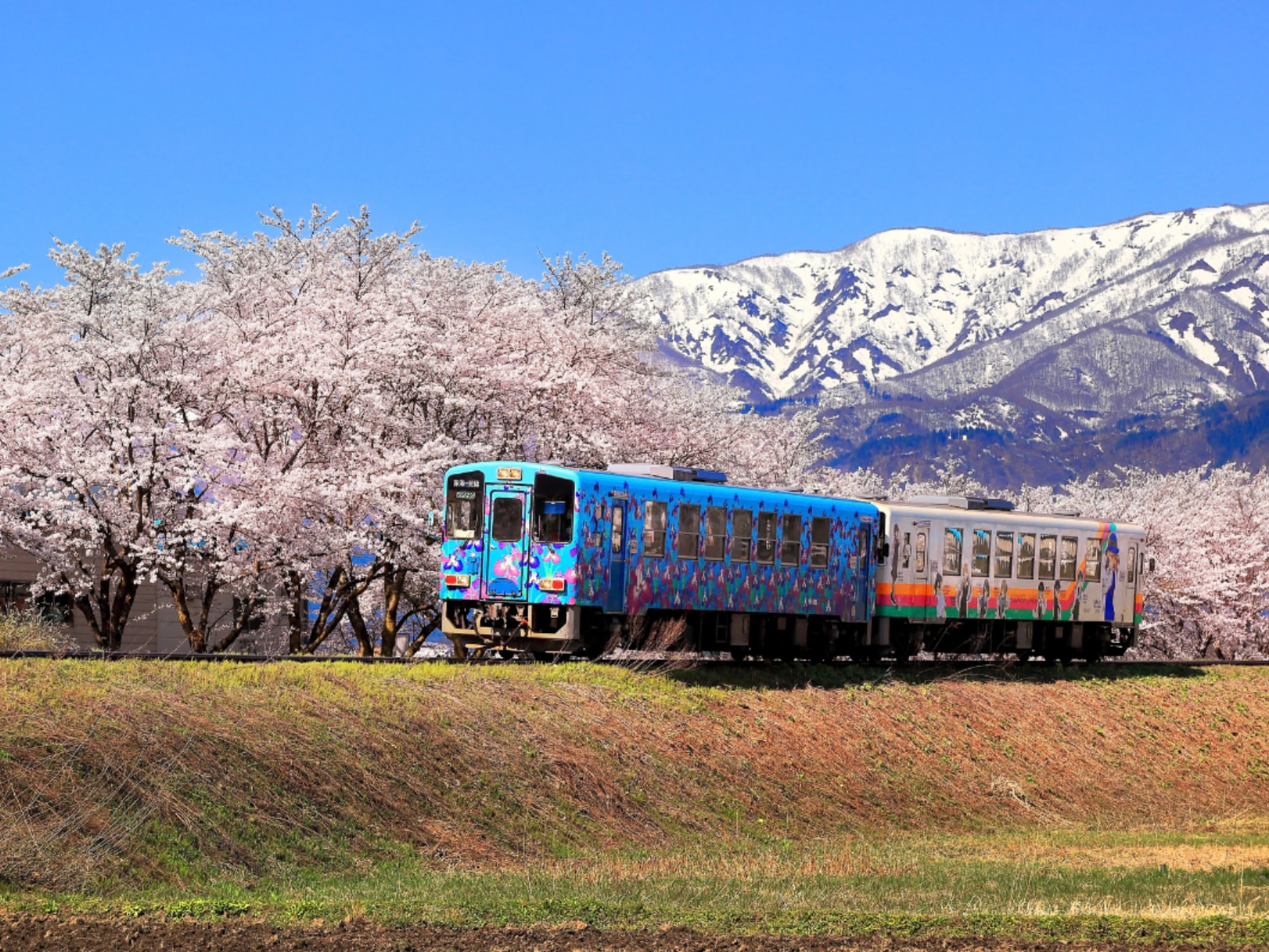 山形県民が選んだ「住み続けたい街（自治体）」ランキング