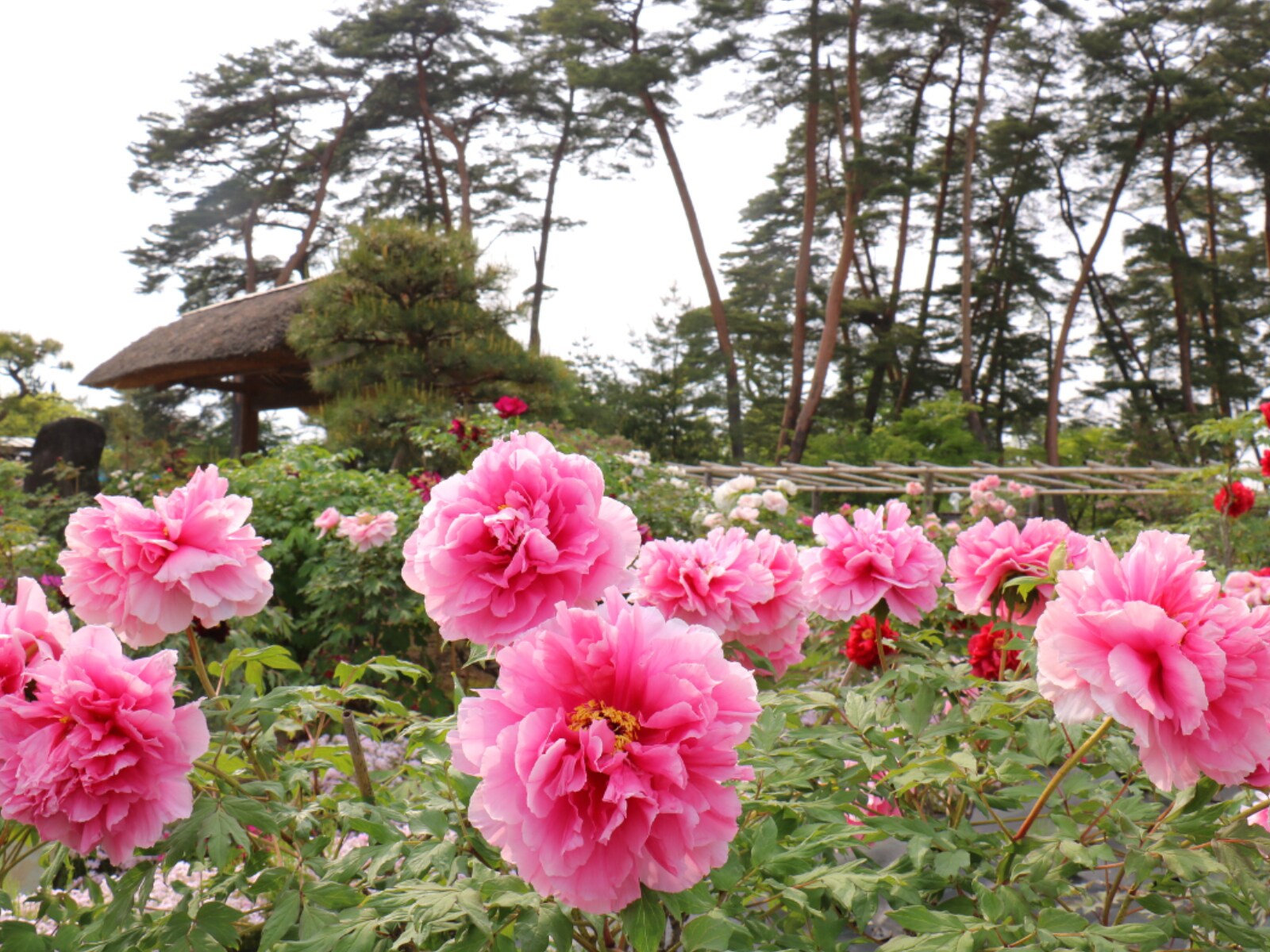 福島県民が選んだ「住み続けたい街（自治体）」ランキング