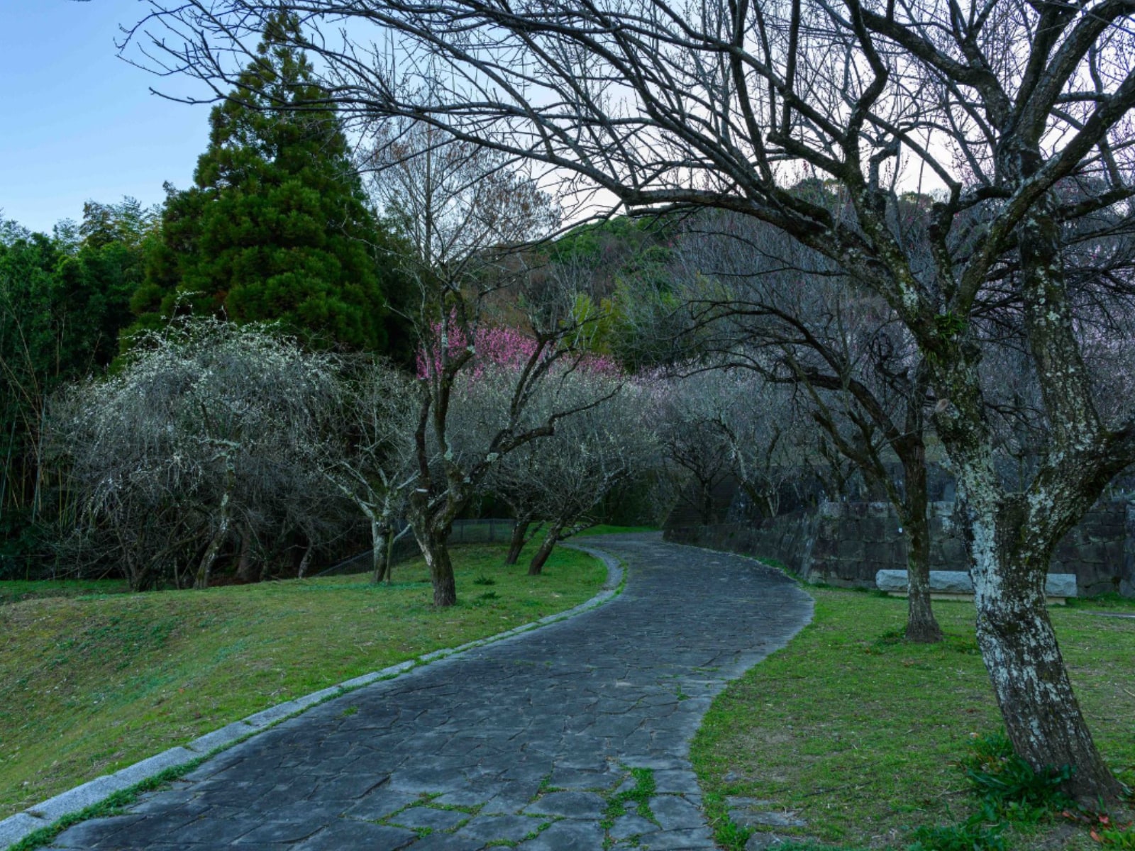熊本県民が選んだ「街の幸福度（自治体）」ランキング