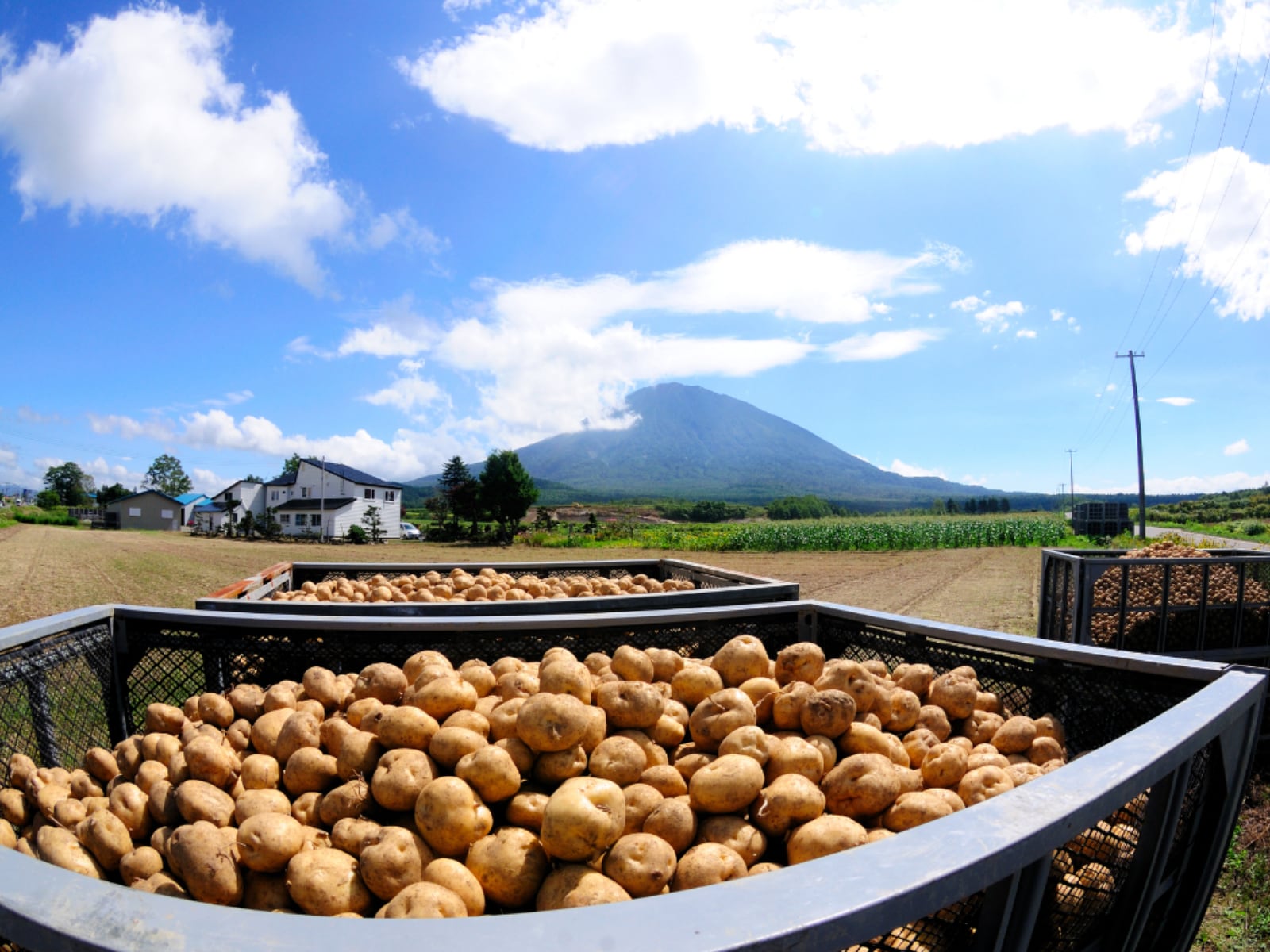 北海道らしさを感じる「1000円～1500円未満のお土産」ランキング