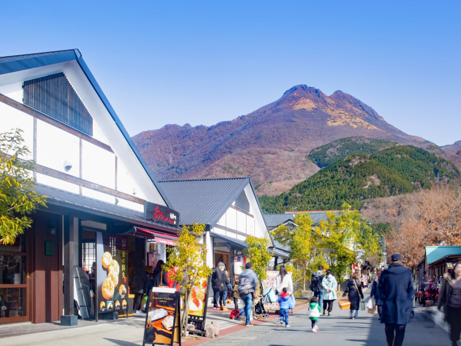 帰省時の手土産にしたい「大分県のお土産」ランキング