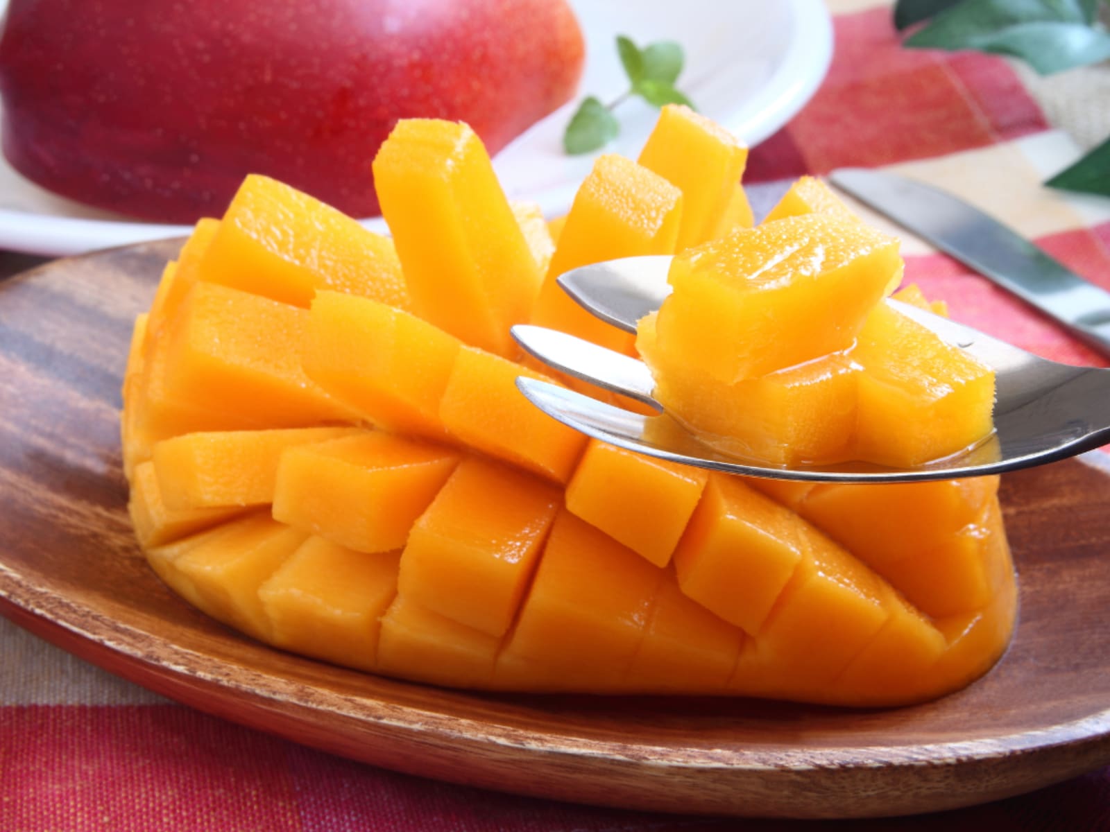 帰省時の手土産にしたい「宮崎県のお土産」ランキング