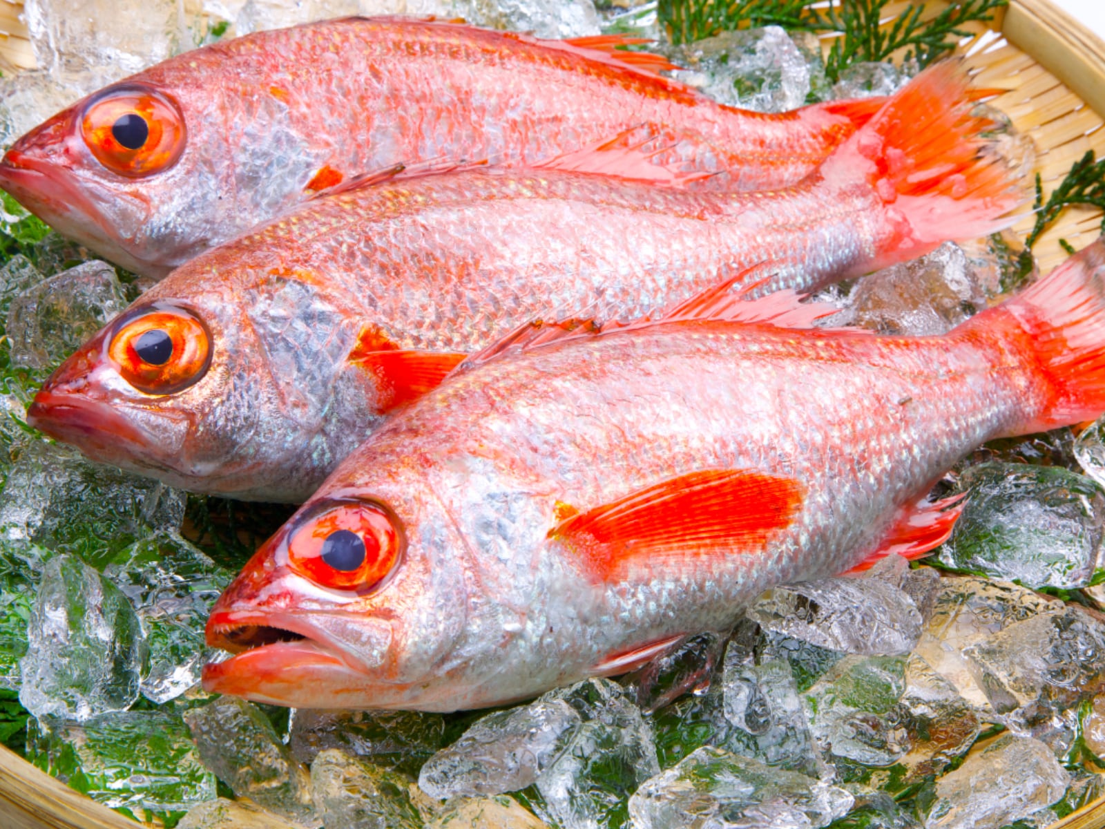 お正月に食べたい「島根県のご当地グルメ」ランキング