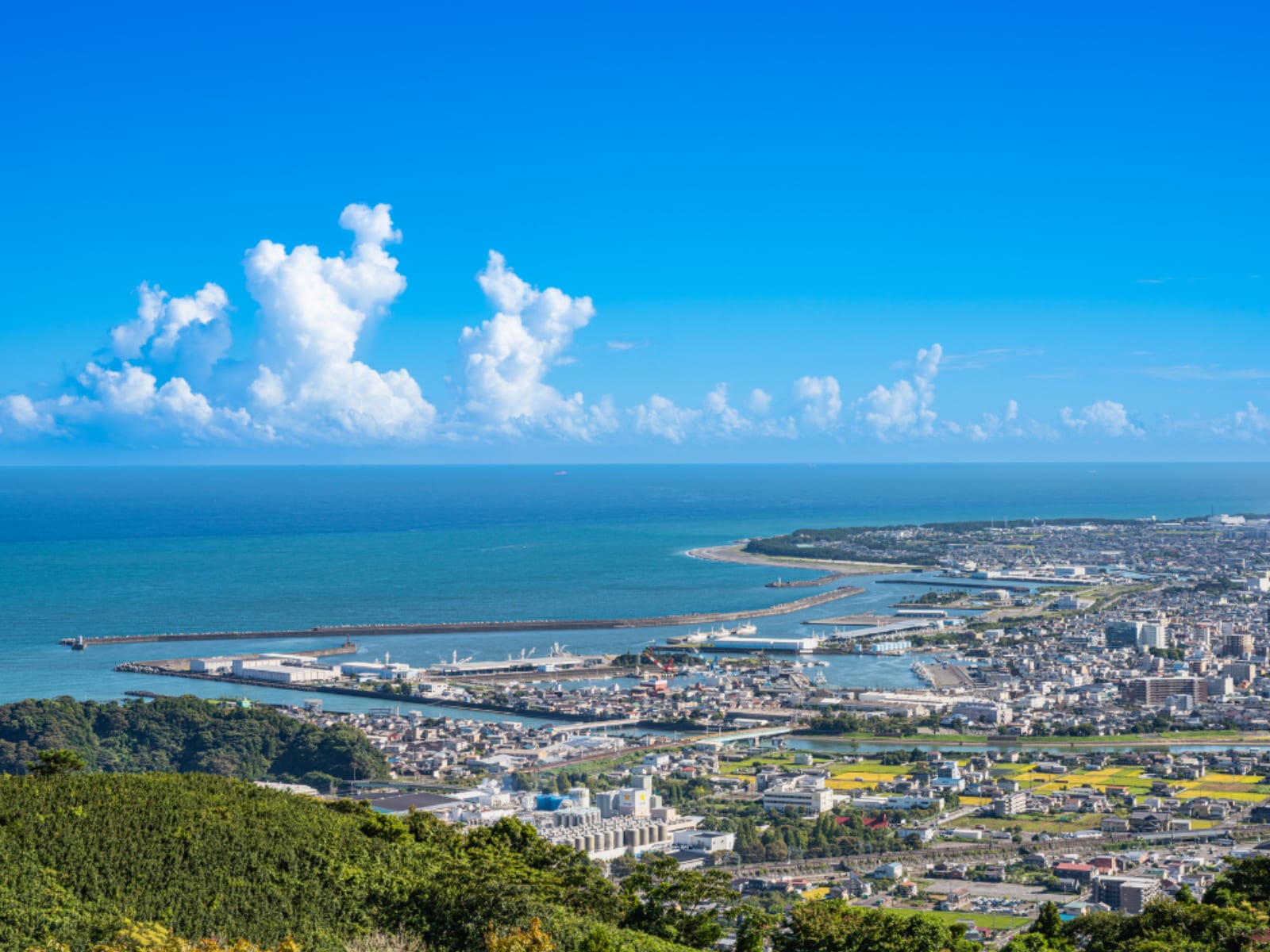 文武両道だと思う「静岡県の私立進学校」ランキングの画像