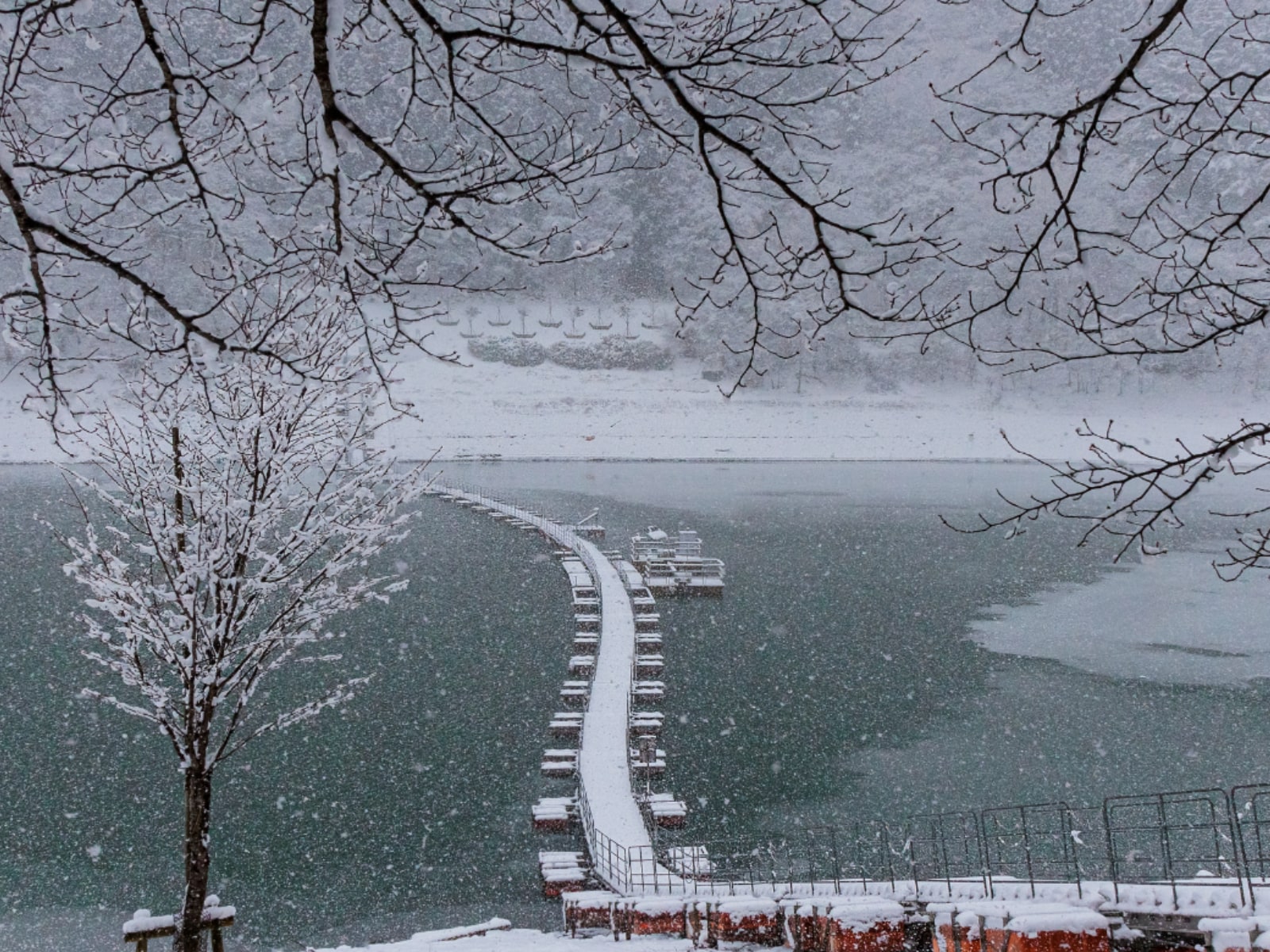 冬に行きたいと思う「東京都の絶景スポット」ランキング
