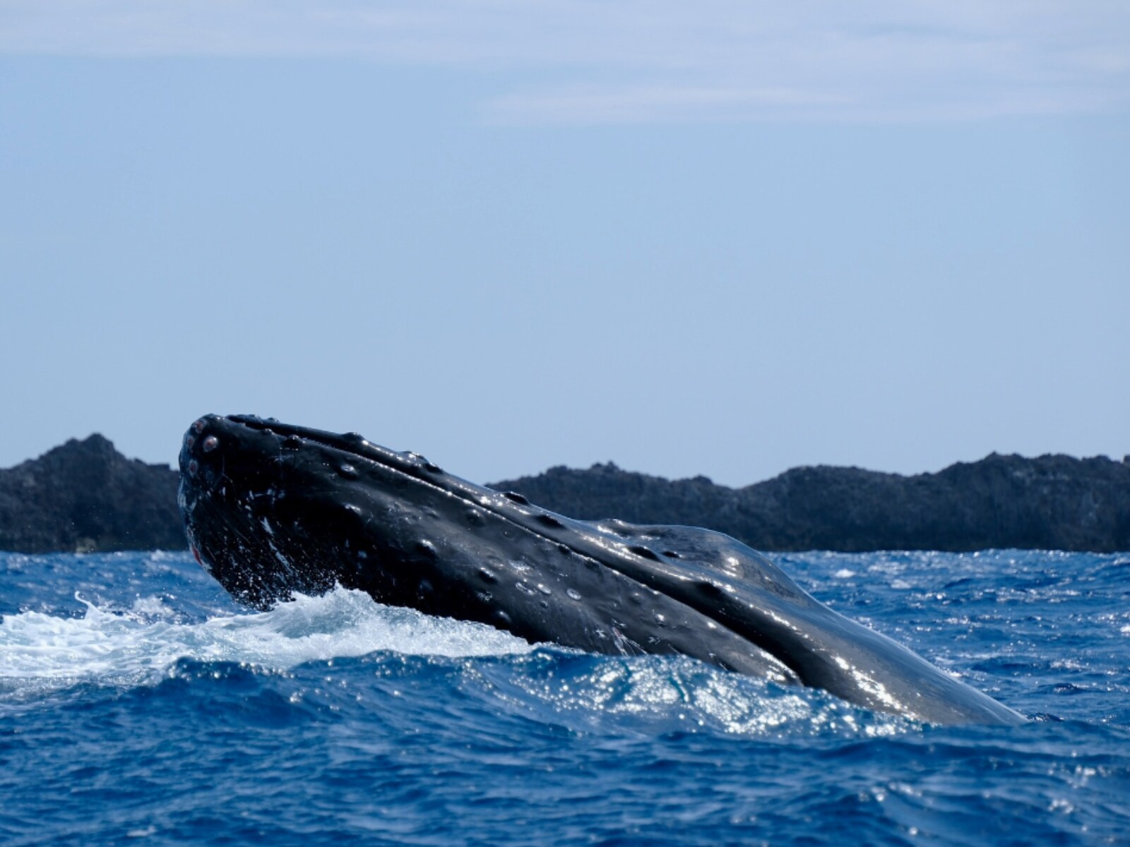 冬に行きたいと思う「東京都・離島エリア」の絶景スポットランキング