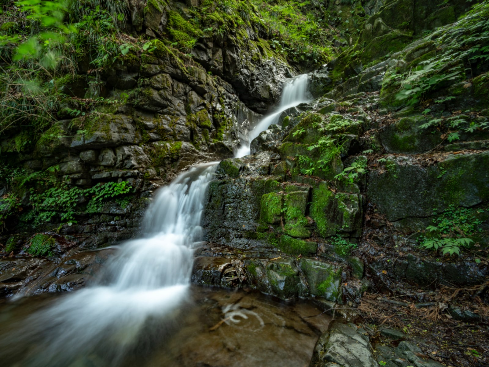 「冬に行きたい東京都の穴場秘境」ランキング