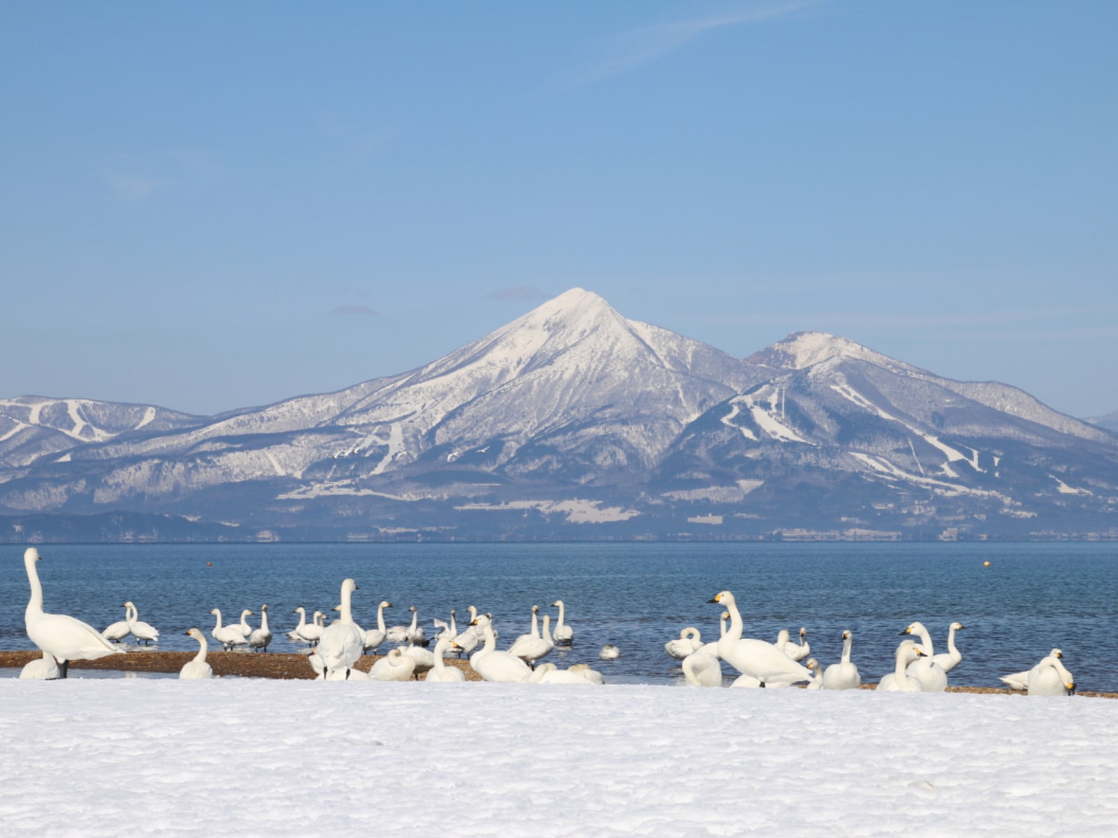 冬に行きたいと思う「福島県の絶景スポット」ランキング