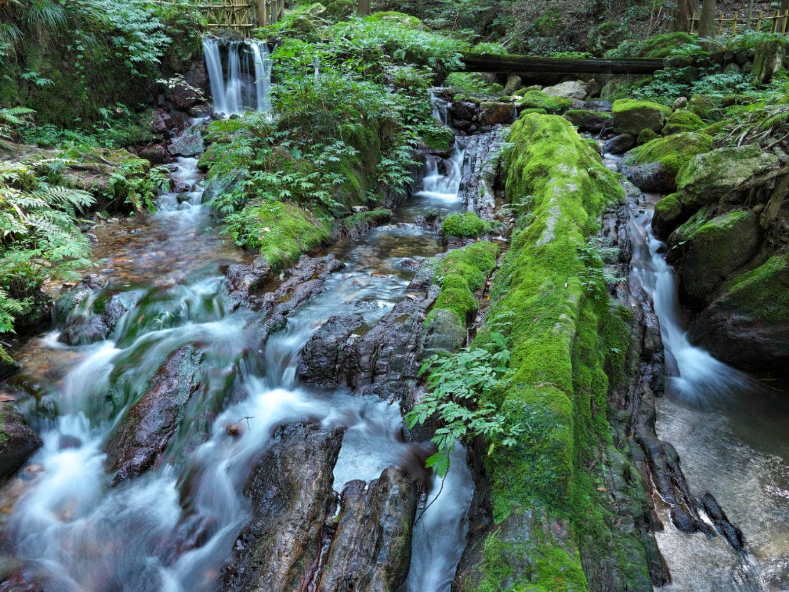 「福井県で冬に行きたい滝」ランキングの画像