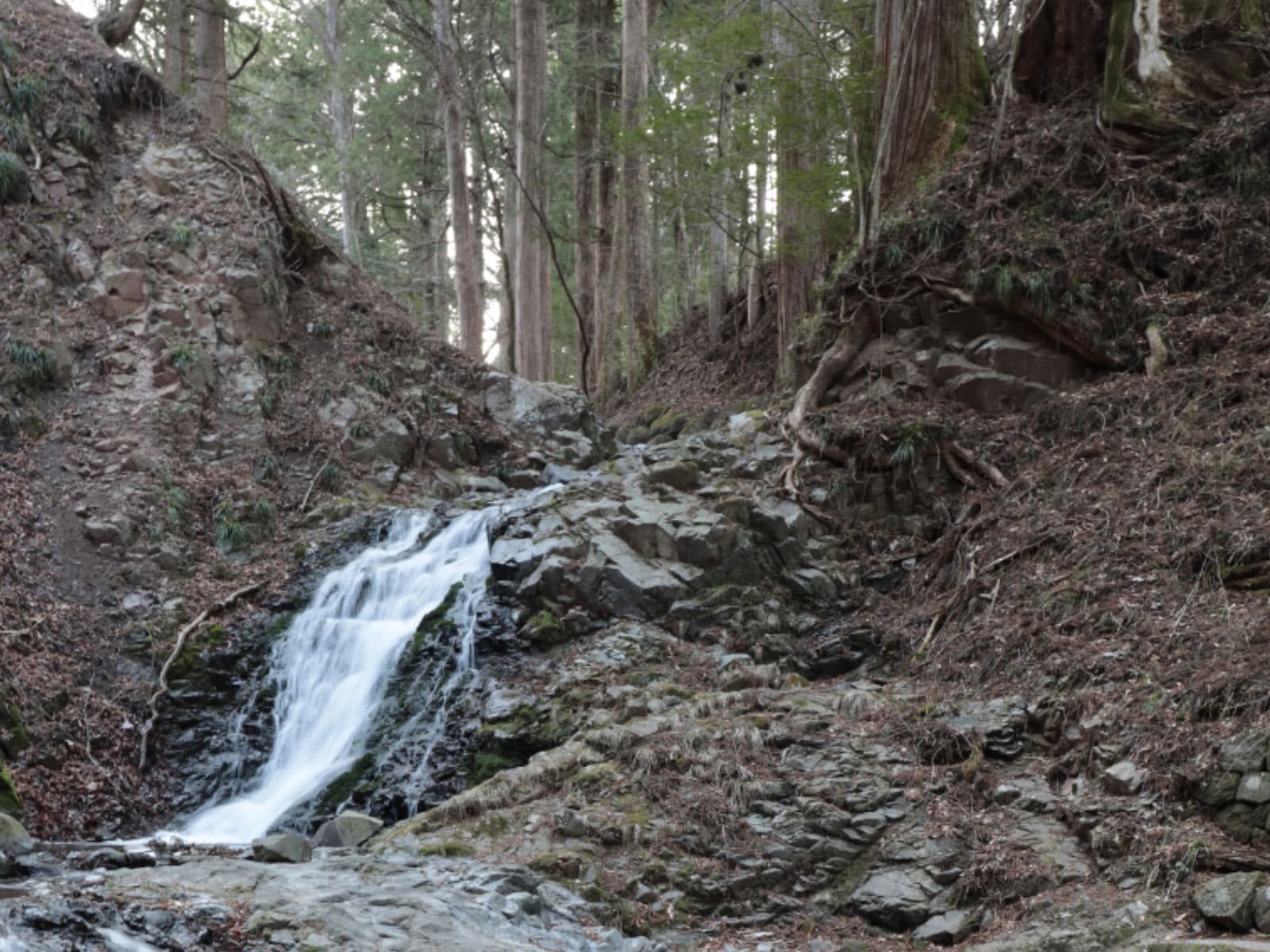 「栃木県で行きたい冬の滝」ランキング