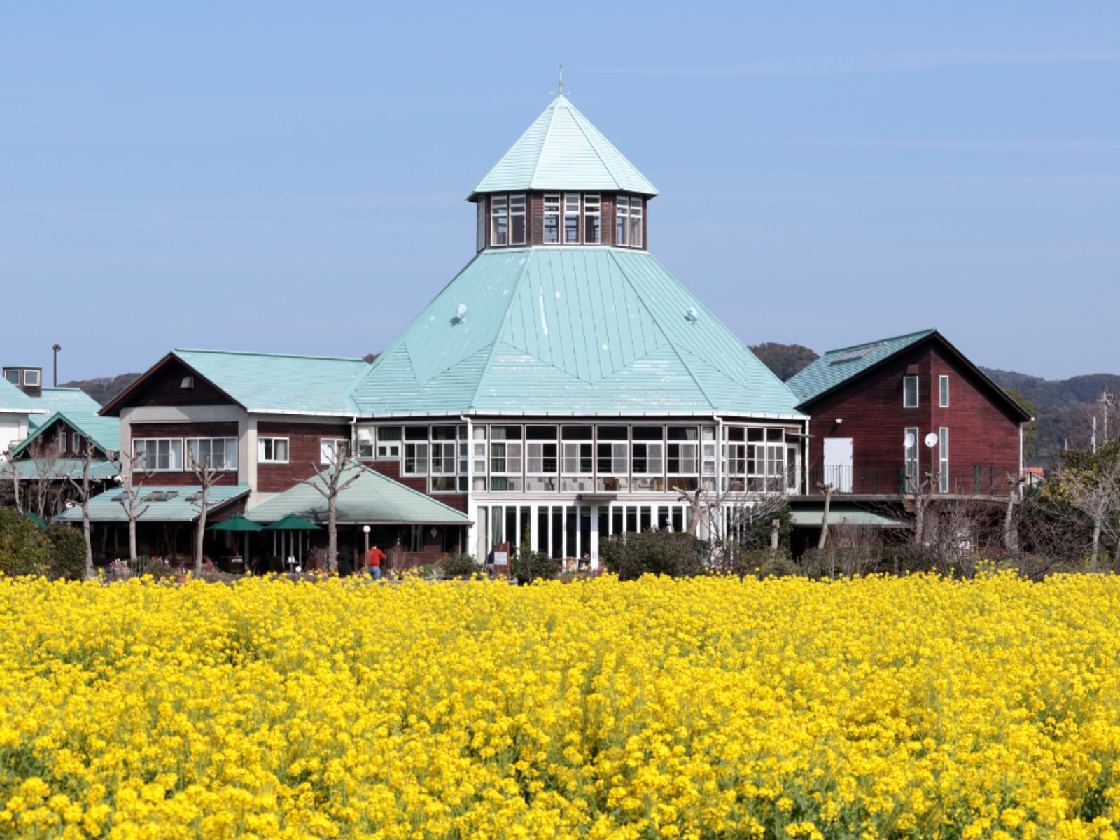 冬に行きたい「千葉県の道の駅」ランキングの画像