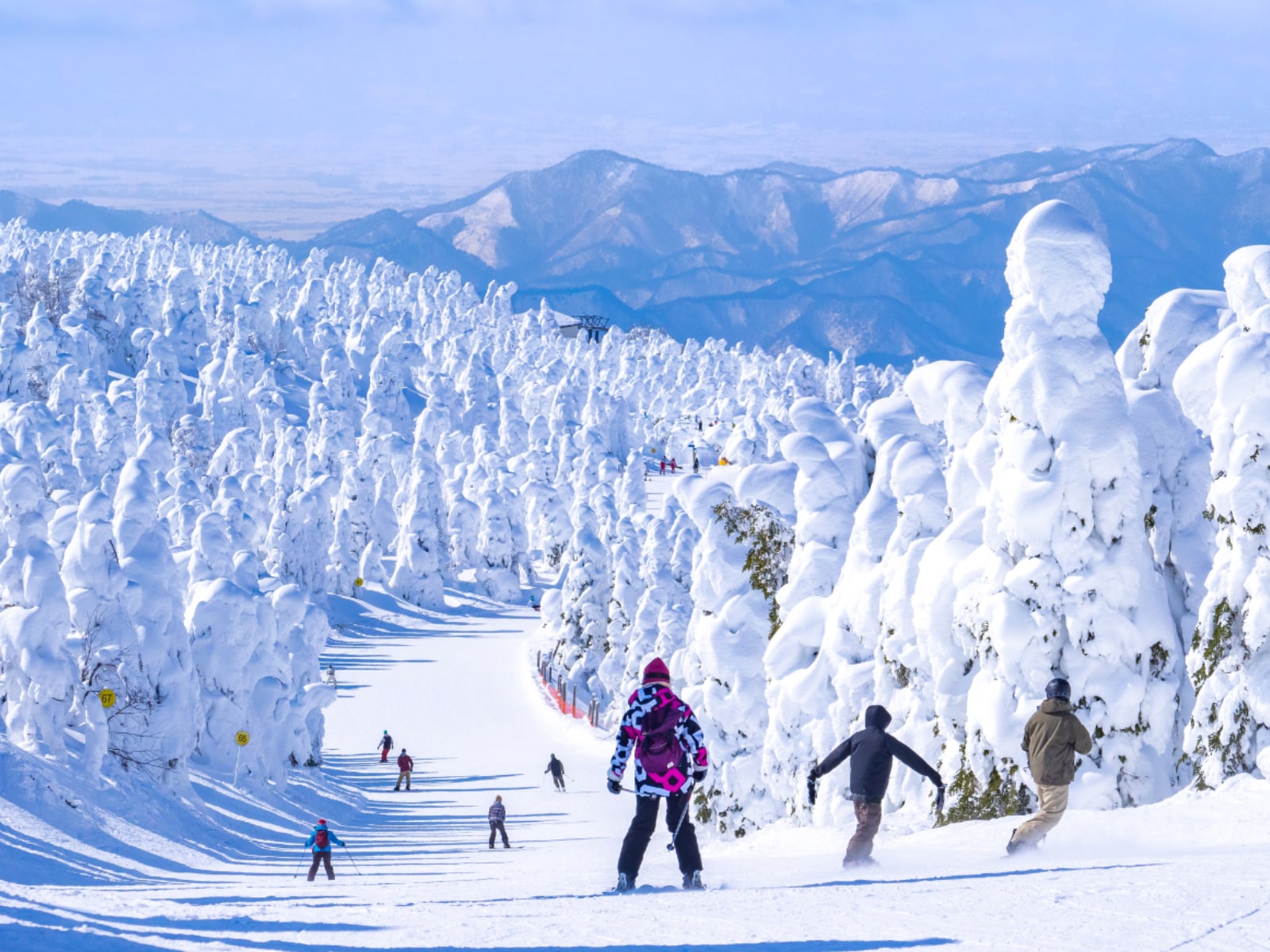 「山形県の温泉地」ランキング