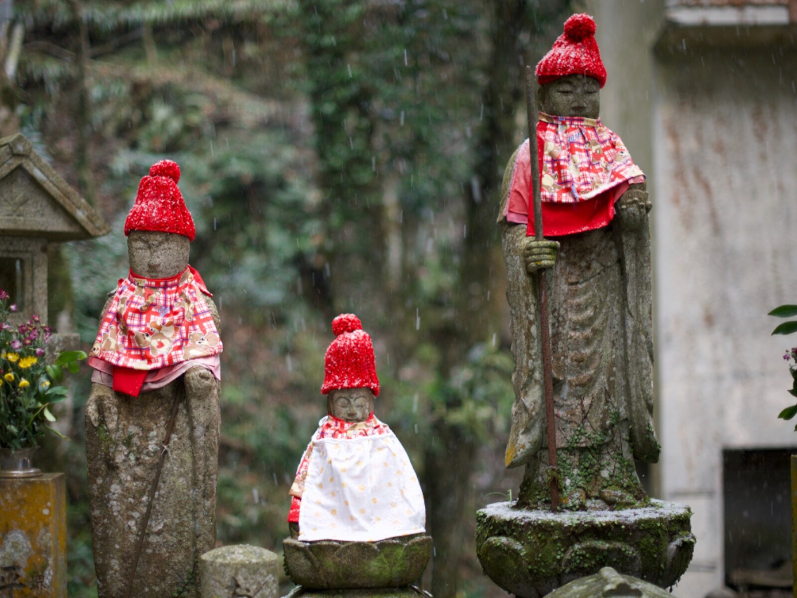 冬に行きたい「大阪府の穴場秘境」ランキング