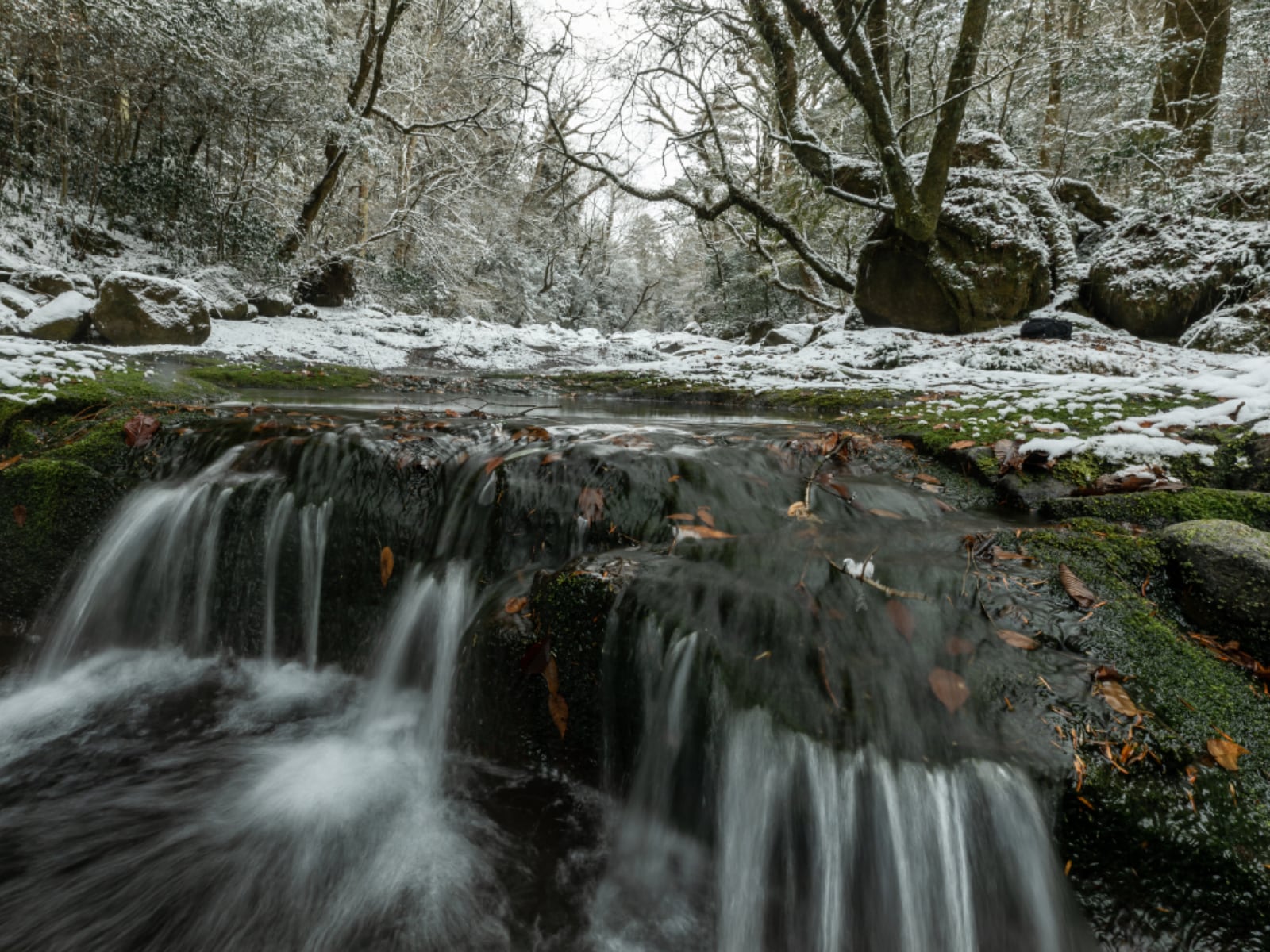 冬に行きたい「熊本県の穴場秘境」ランキング