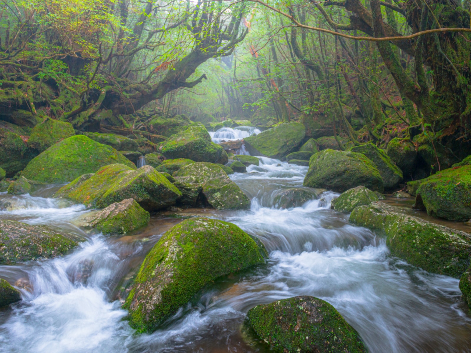 冬に行きたい「鹿児島県の穴場秘境」ランキング