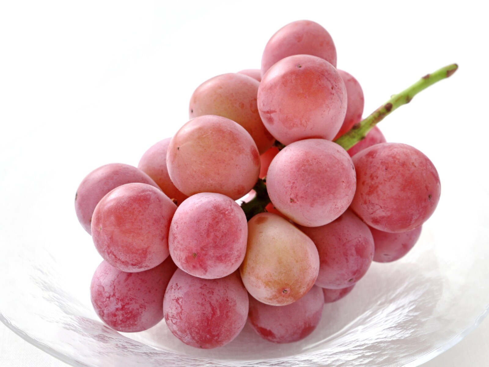 見た目がかわいいと思う「徳島県のお土産」ランキング