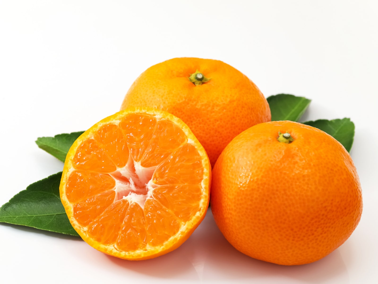 和歌山県らしさを感じる「和歌山県のお土産」ランキングの画像