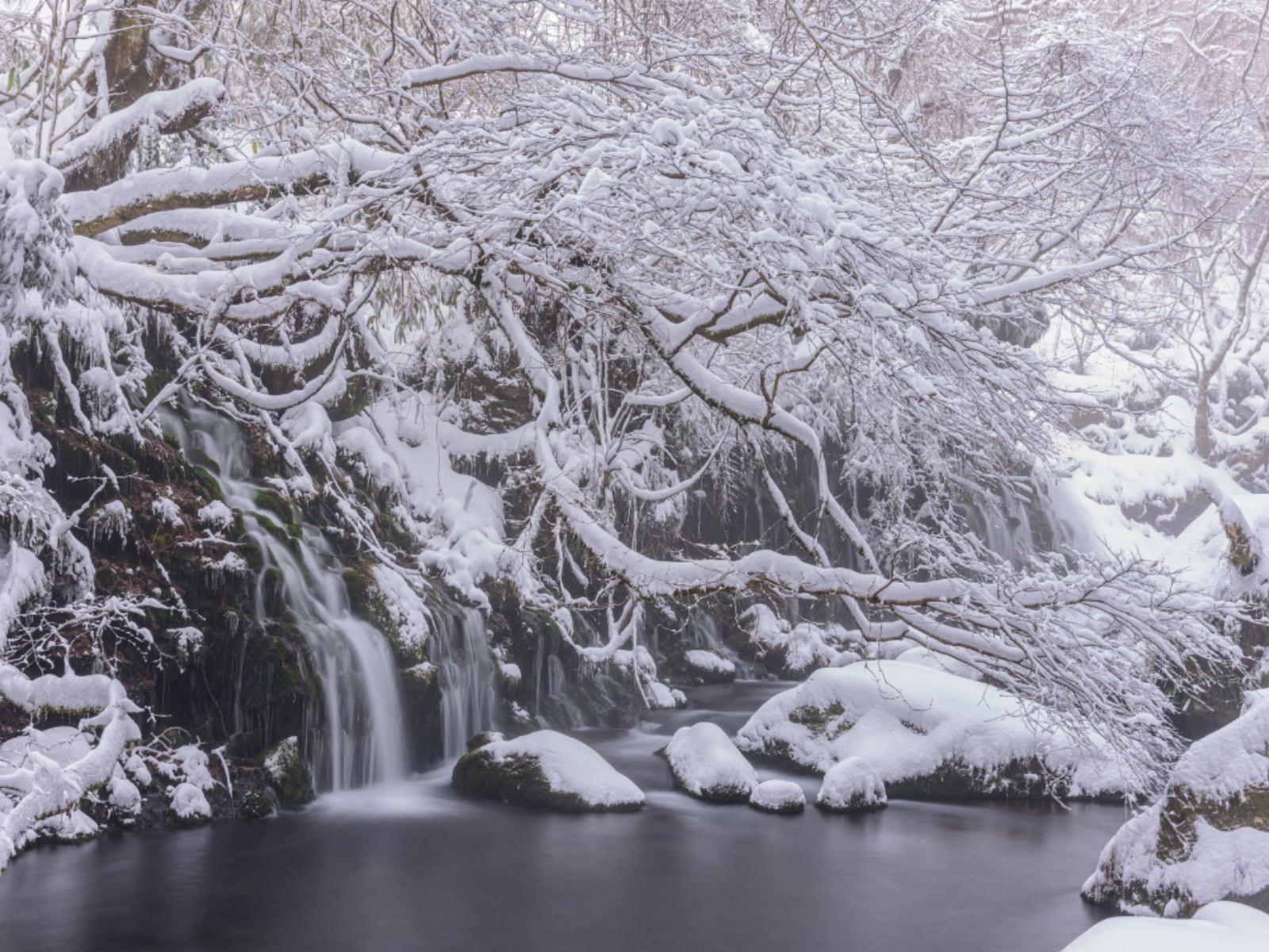 冬に行きたい「秋田県の穴場秘境」ランキング