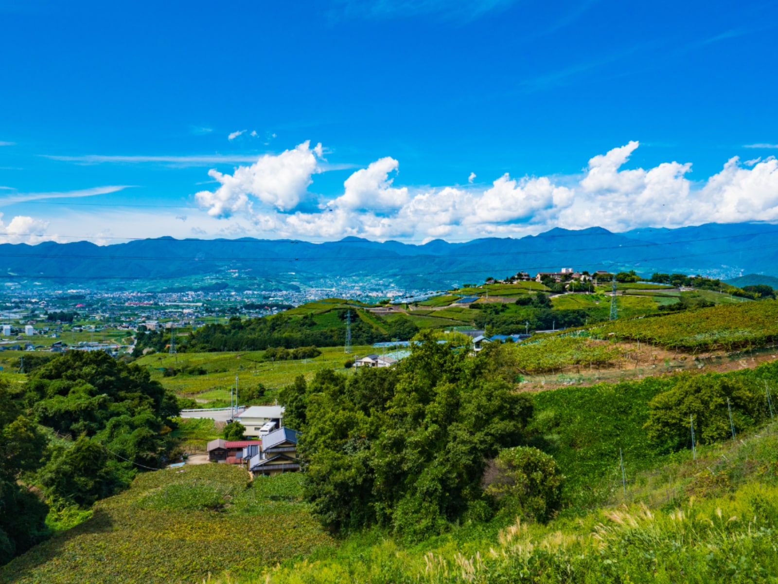 長期休みに行きたいと思う「山梨県の旅行先」ランキングの画像