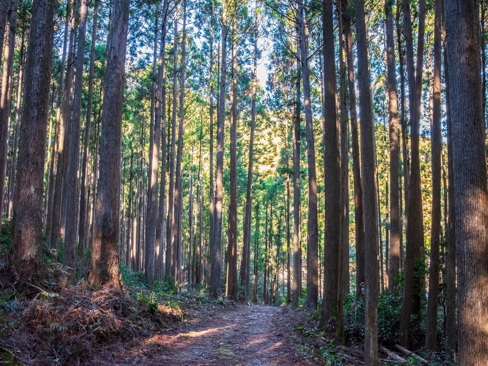 読むのが難しいと思う「三重県の自治体」ランキング