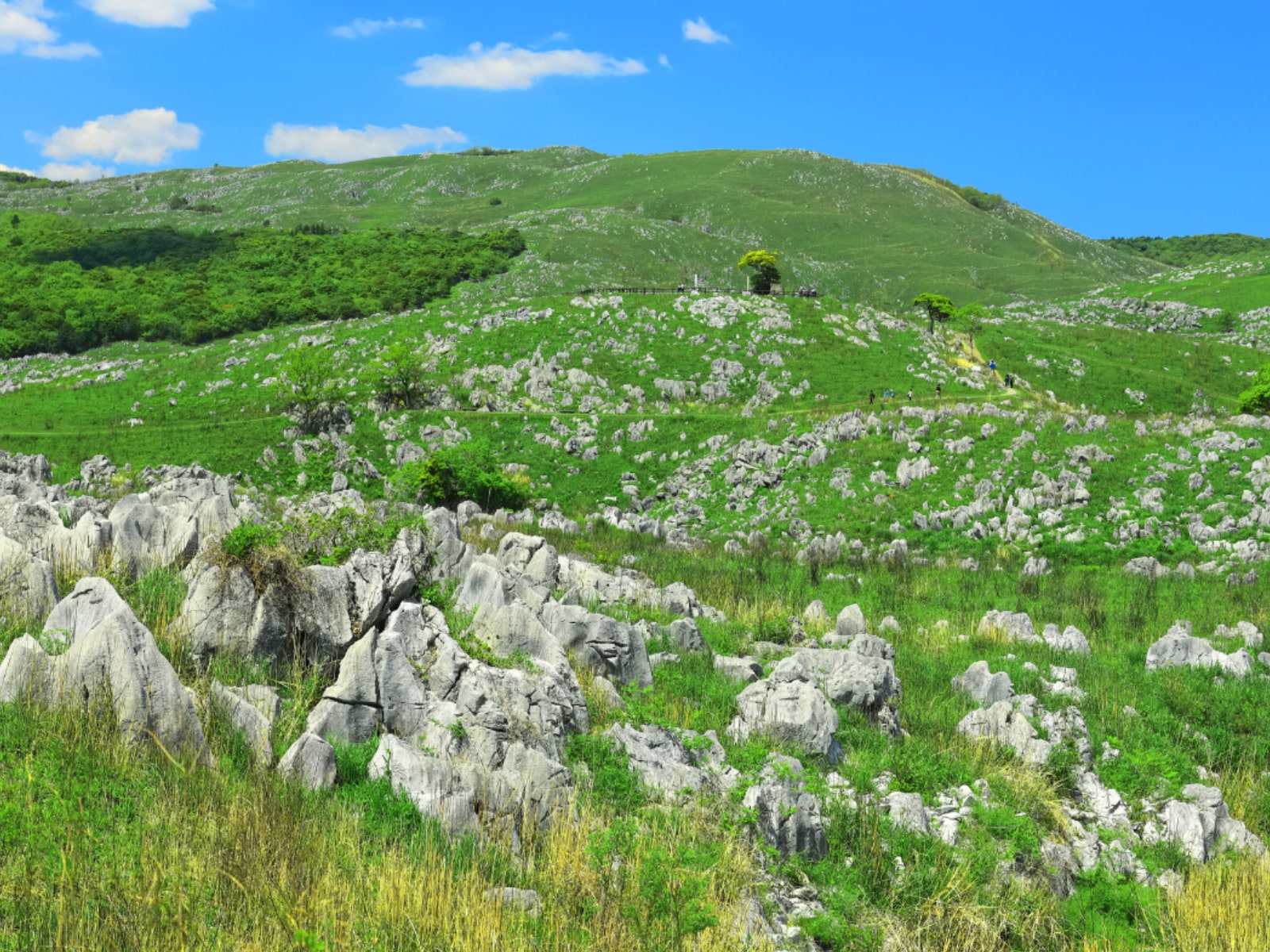 「山口県の旅行先」ランキング